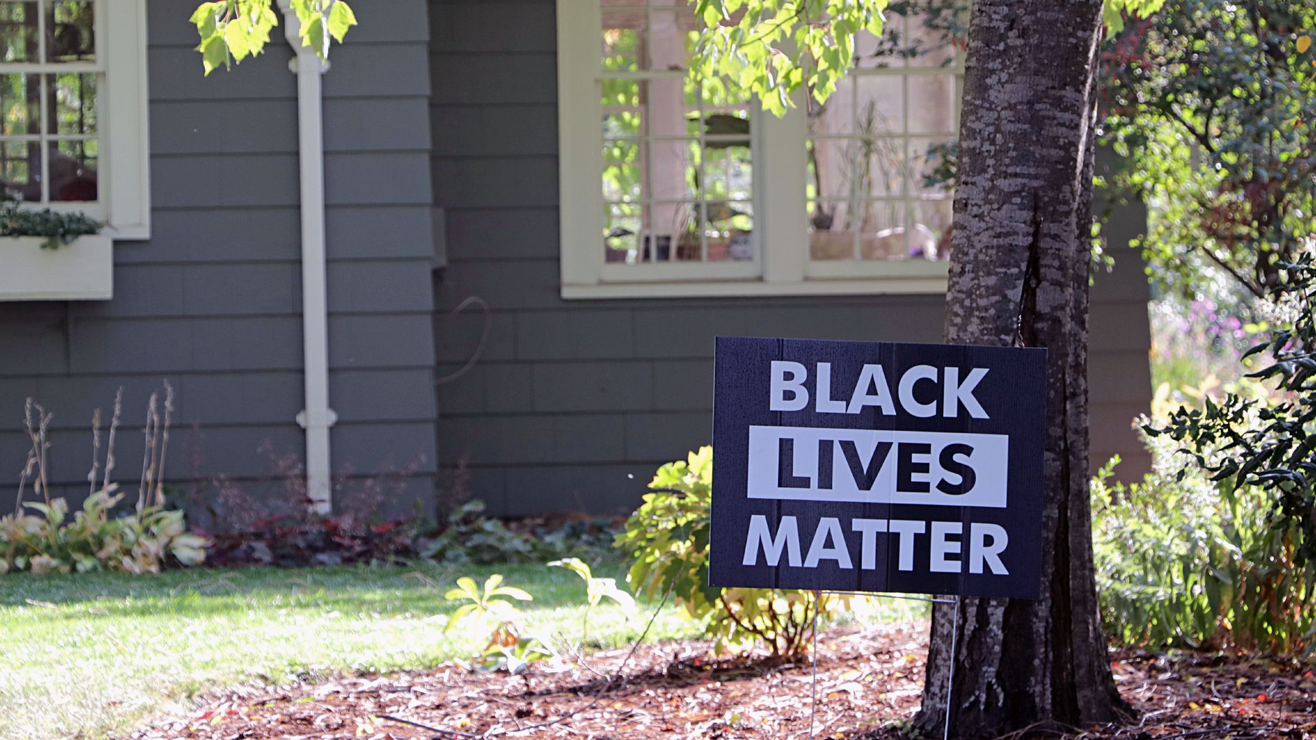 Photo of a Black Lives Matter sign standing next to a tree in front of a house