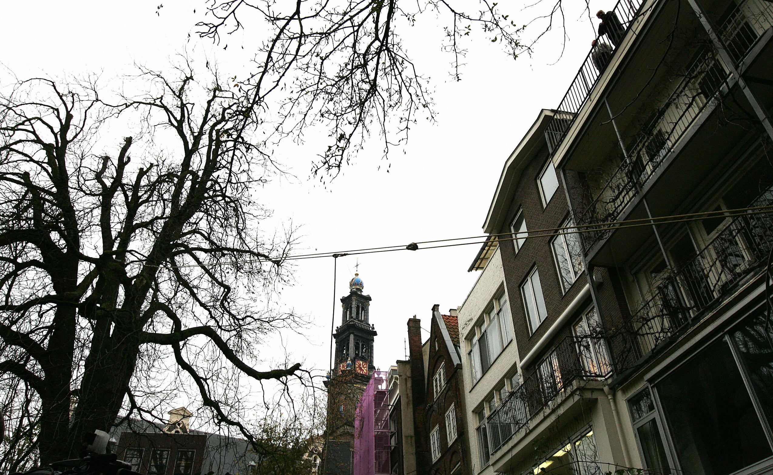 The chestnut tree that was described by Anne Frank in her diary in Amsterdam before it fell in 2010. 