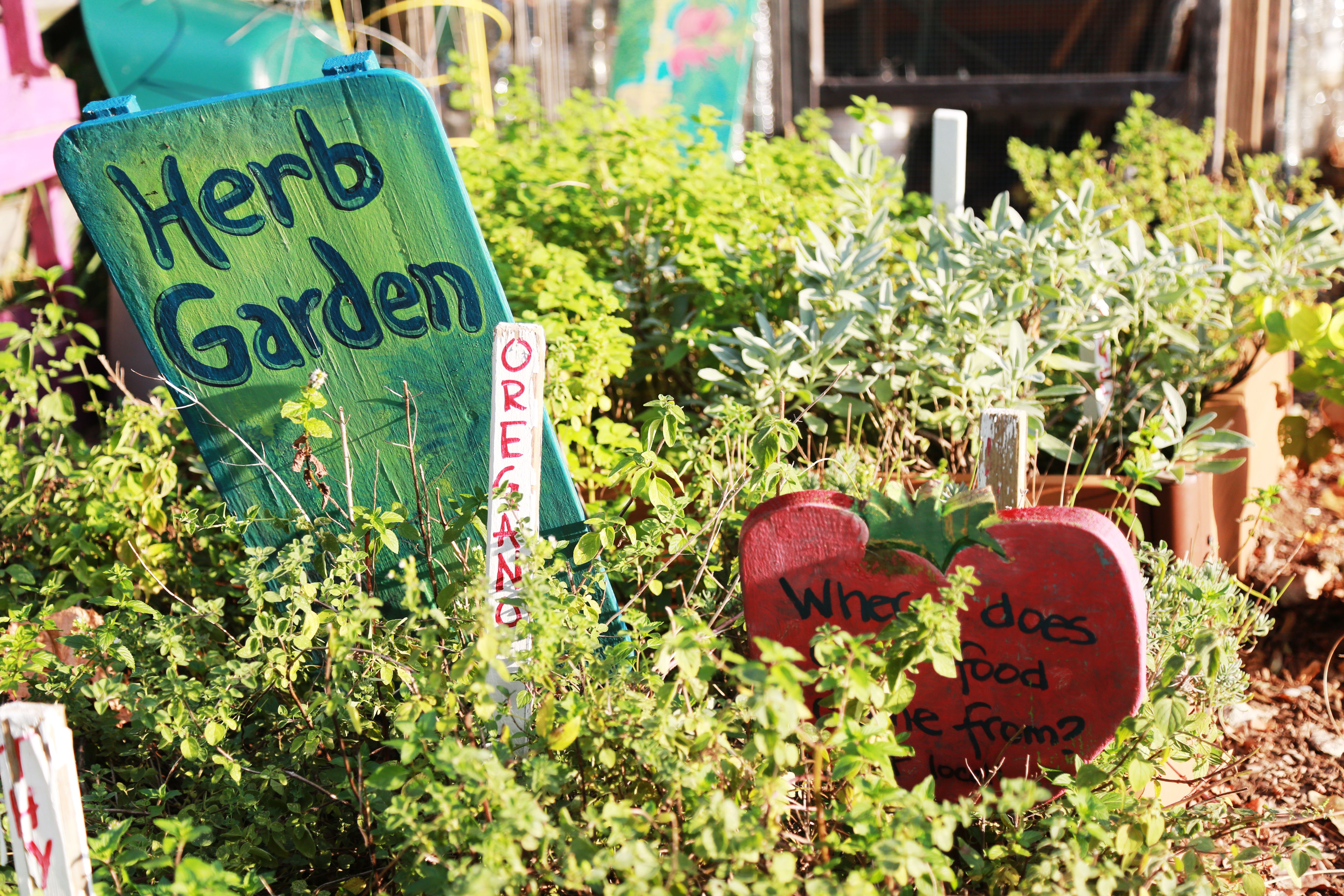 Tilted green wooden sign reading "Herb Garden" stands among lush herbs and garden stakes with handwritten words in a sunny outdoor garden.