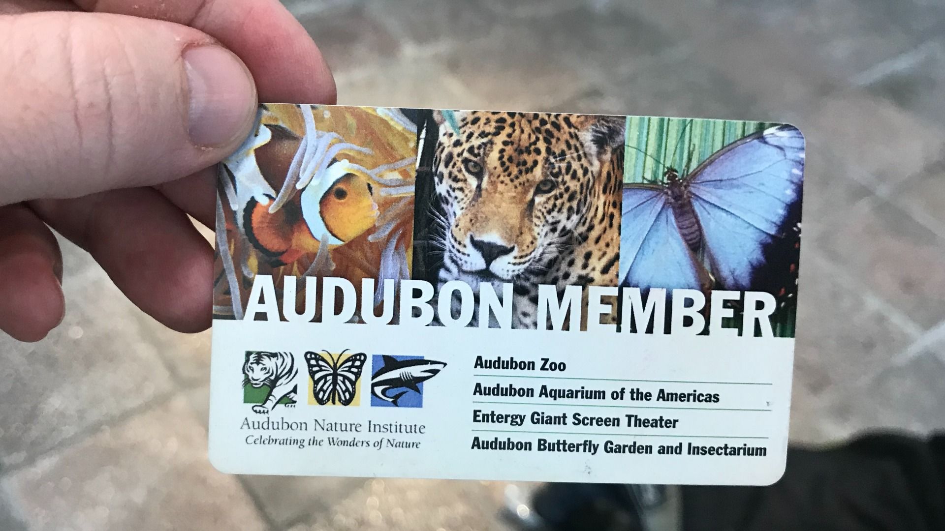 Hand holding an Audubon Member card featuring images of a clownfish, a jaguar, and a blue butterfly. Text lists Audubon Zoo, Aquarium, theater, and butterfly garden access.