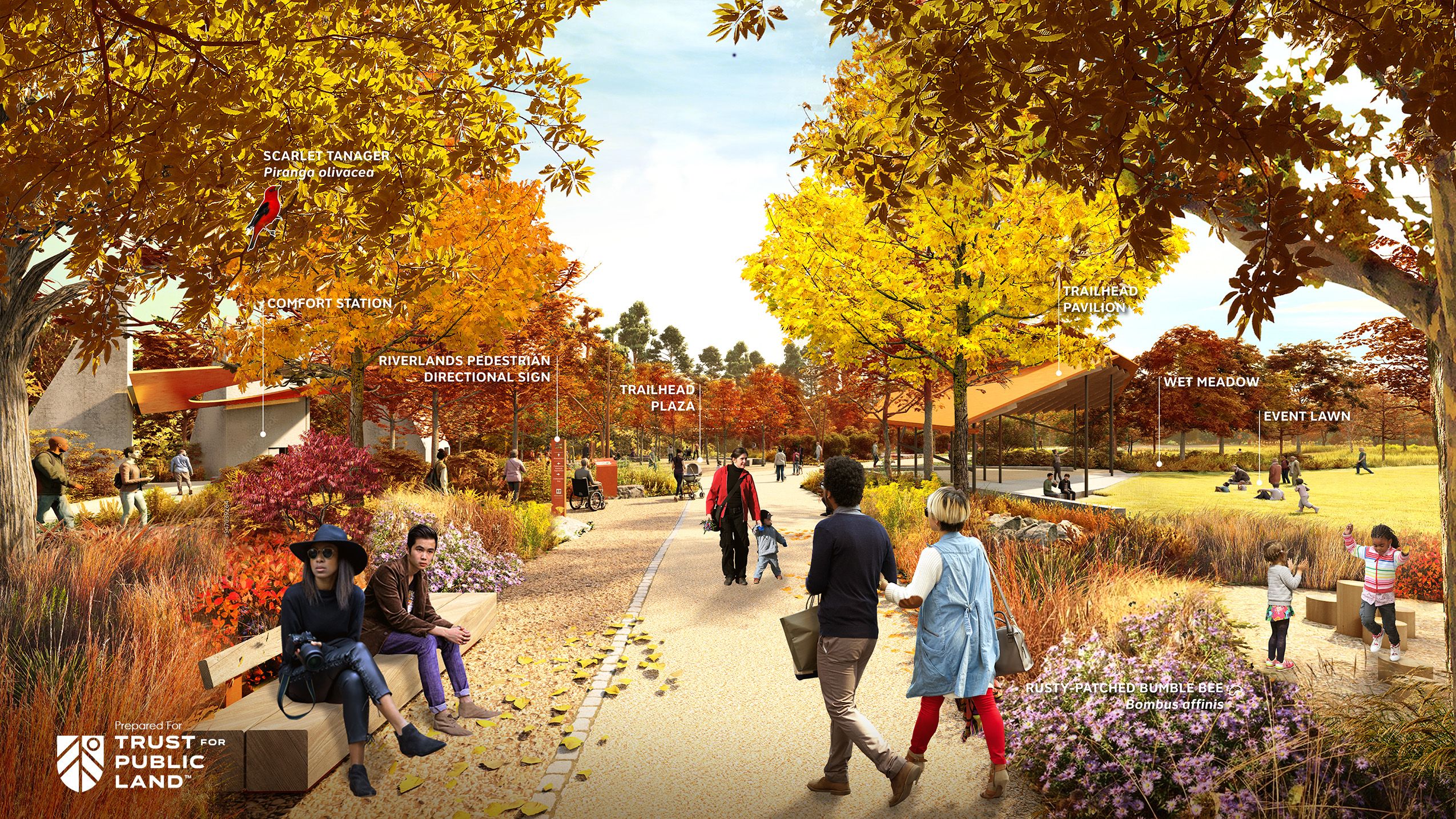 A rendering of people enjoying a landscaped tree-filled park in the autumn or golden hour
