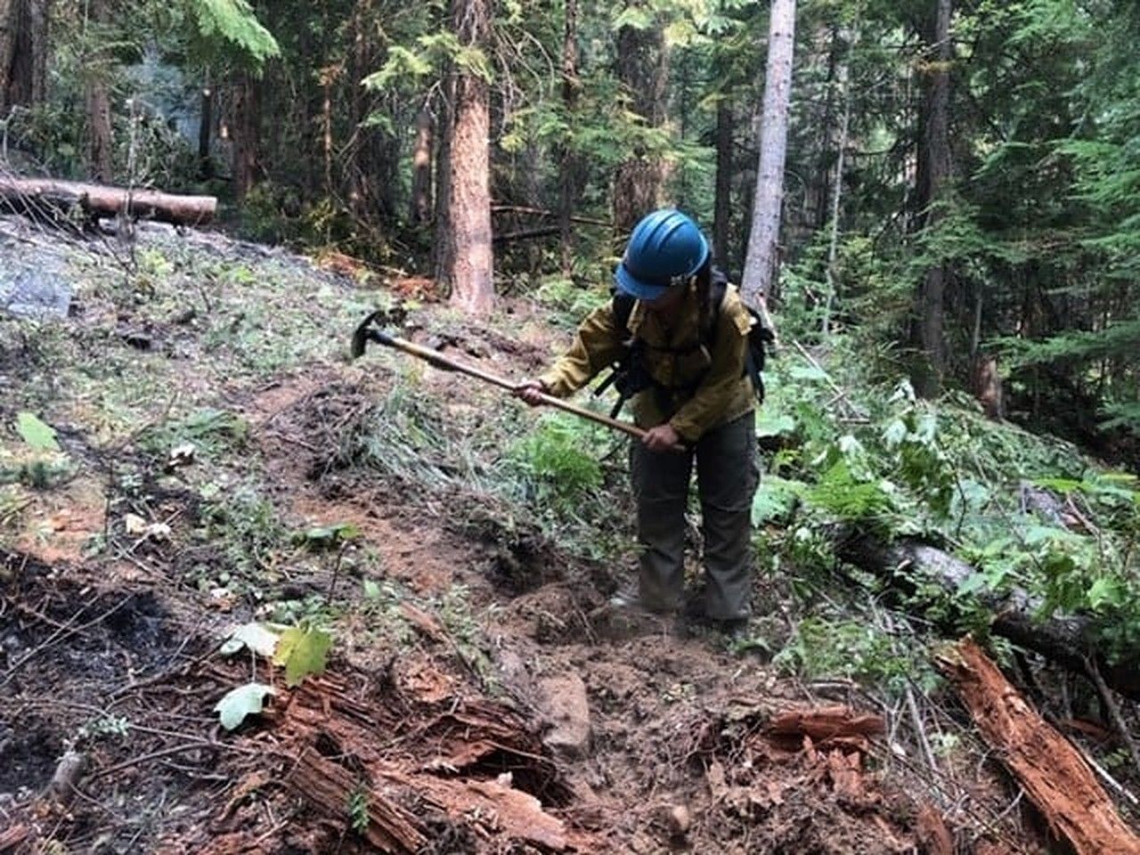 A Flathead crew member digging line around a spot fire on the Callahan Fire.