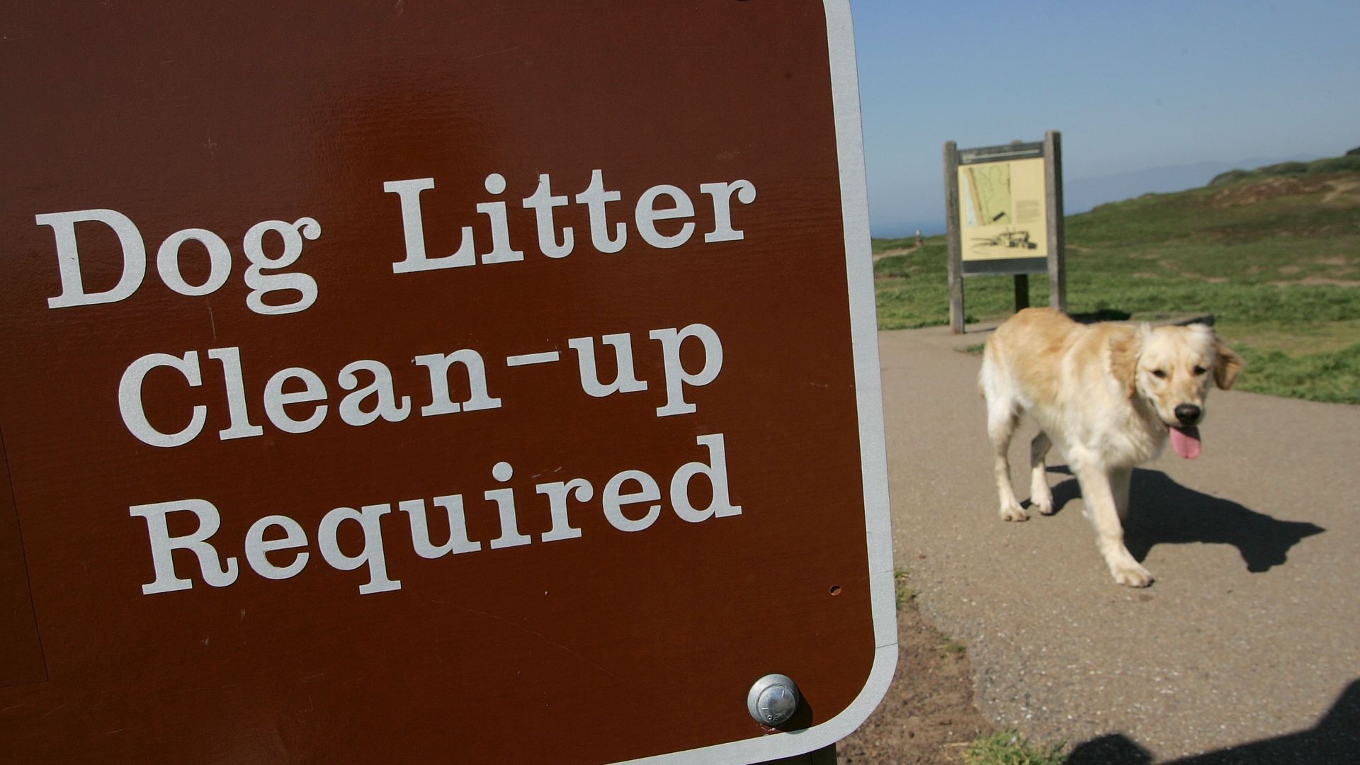 Brown sign with white text reading "Dog Litter Clean-up Required" on a path with a golden retriever walking nearby under clear blue sky.
