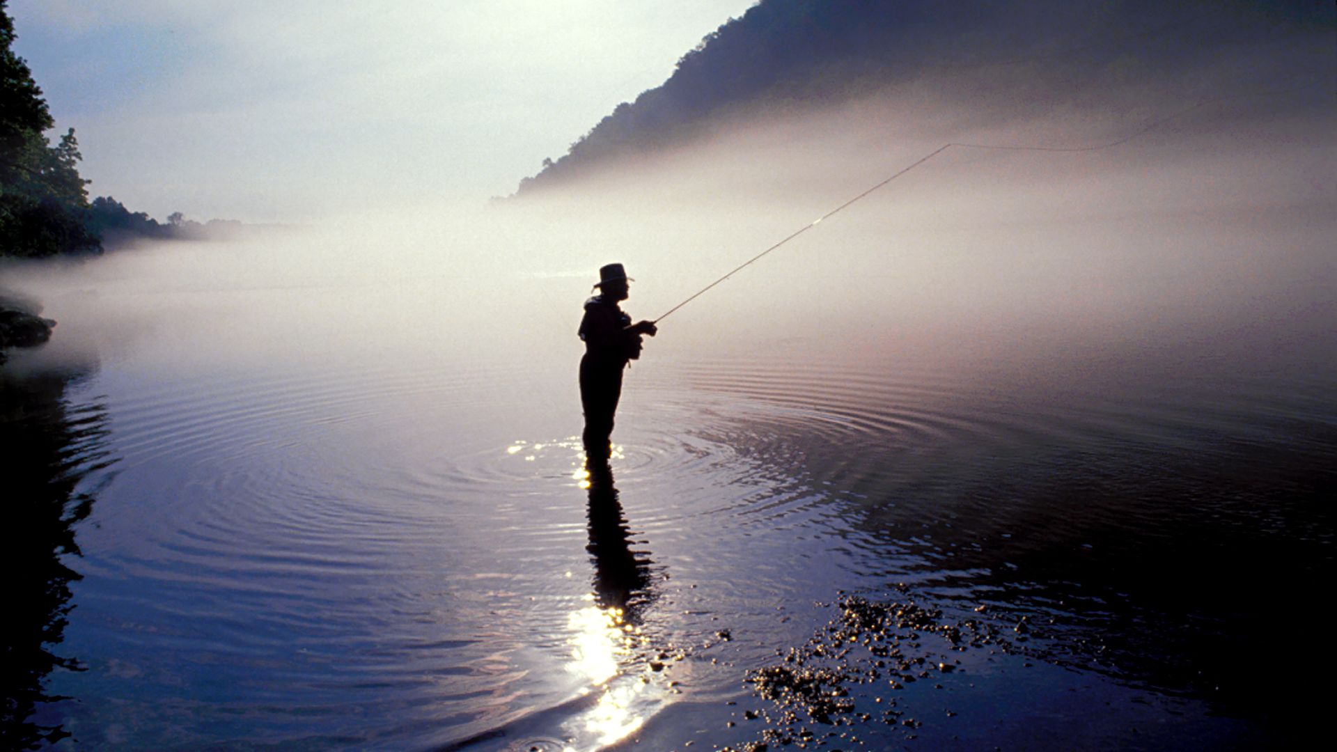 A fly-fisherman stands in a river covered in fog casting his line.