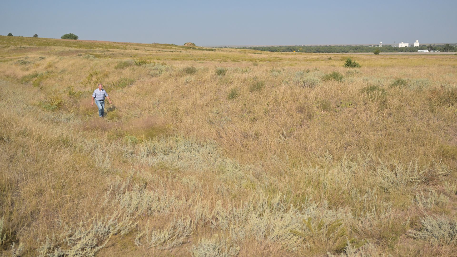 Jay Goddard walks in the original Perkins County Canal that runs through his property in Julesburg on Sept. 8. Photo: RJ Sangosti/Denver Post via Getty Images
