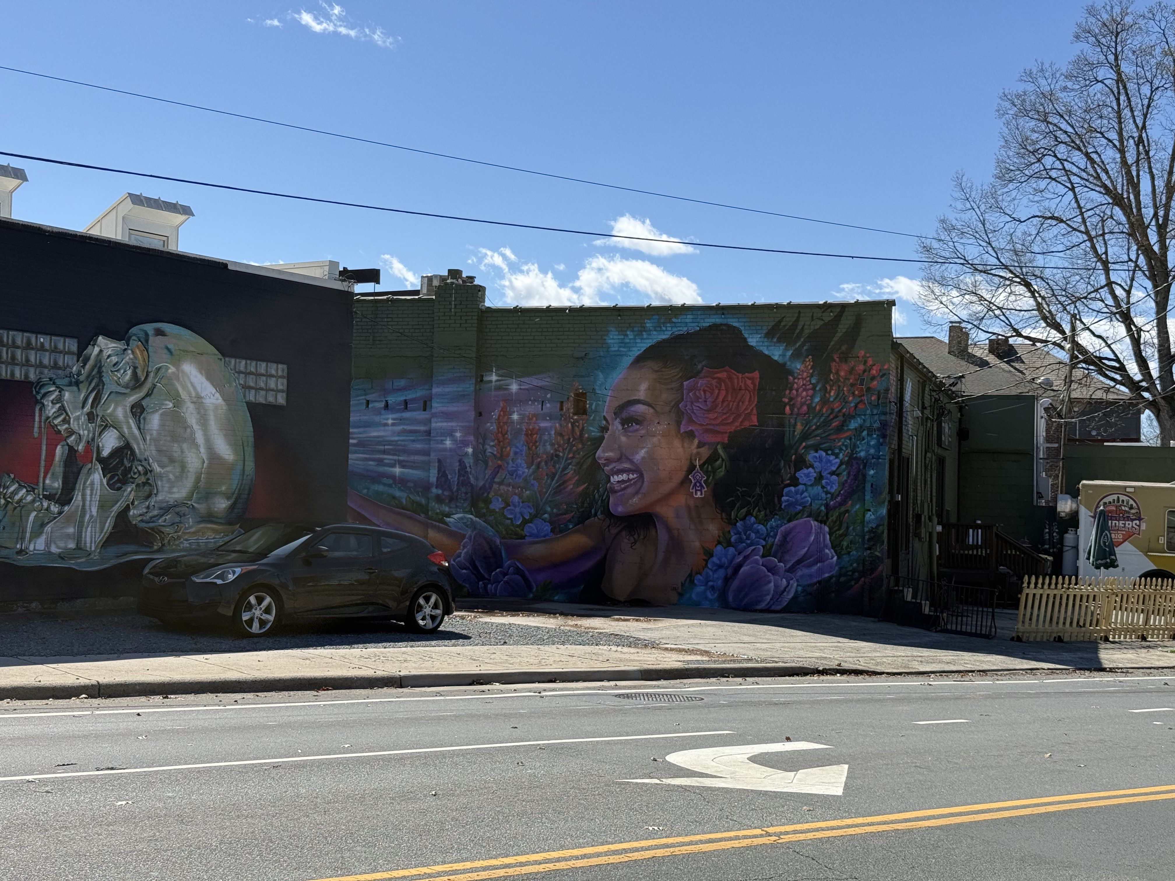 Colorful mural on brick wall: a smiling woman with a rose in her hair among blue and purple flowers; a dark car is parked on the street, with power lines above and a skeletal mural on the left.