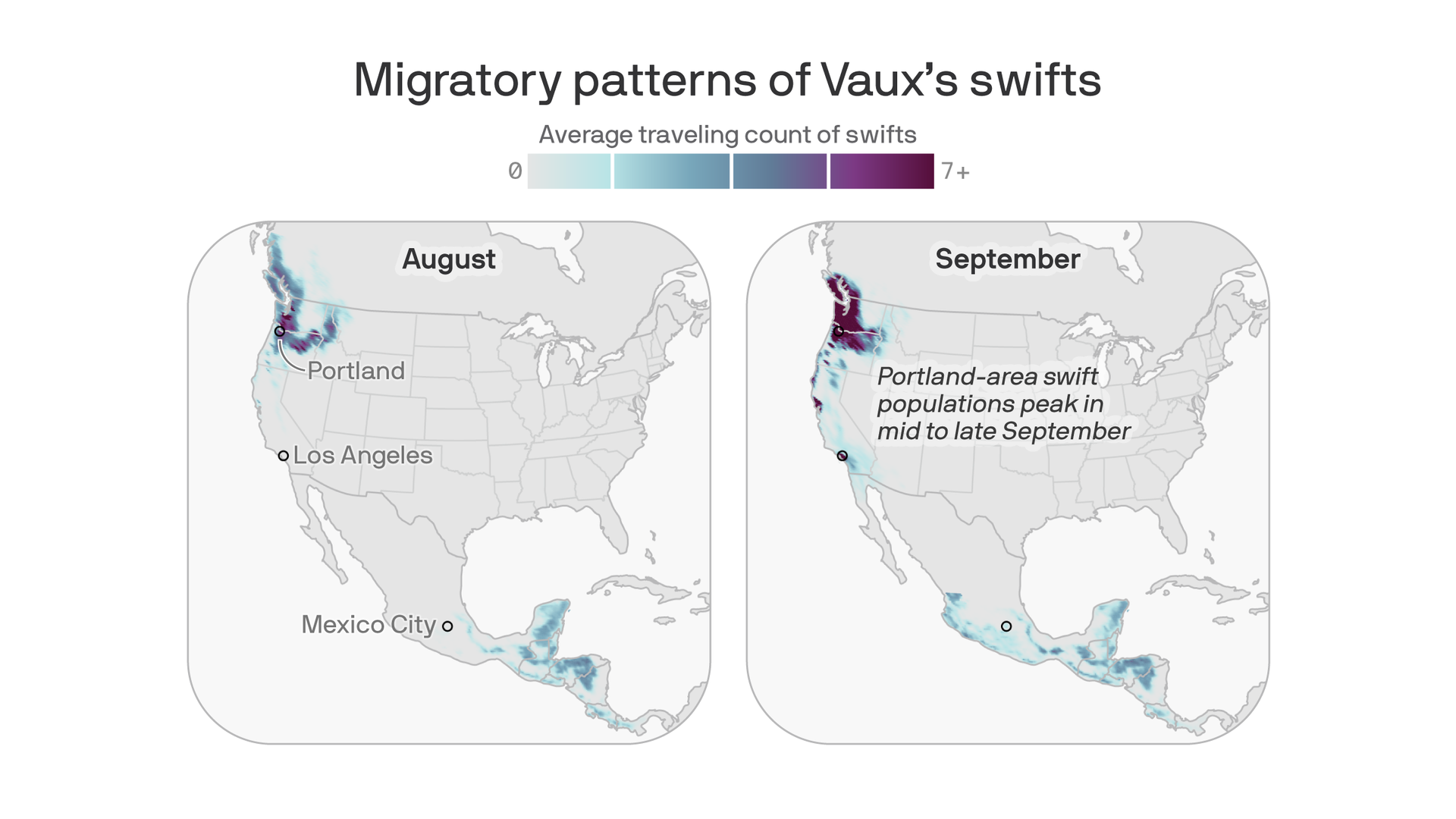 Four maps showing Vaux’s swift population density in August, September, October, and November. In August and September, many swifts are in the Pacific Northwest. By October and November, these swifts have largely migrated to southern Mexico.