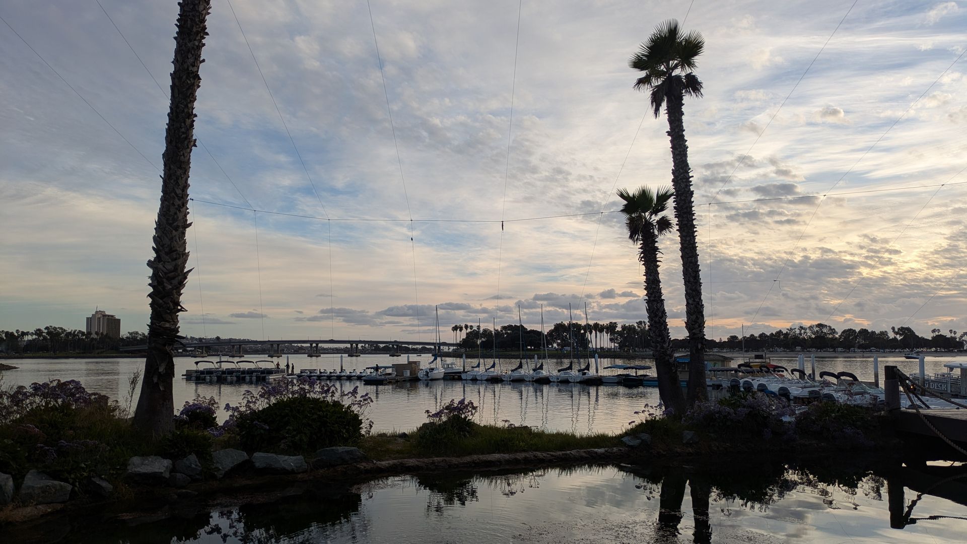 Harbor view at dusk with palm trees, boats docked on calm water, a building in the distance, and a partly cloudy sky reflecting on the water surface.