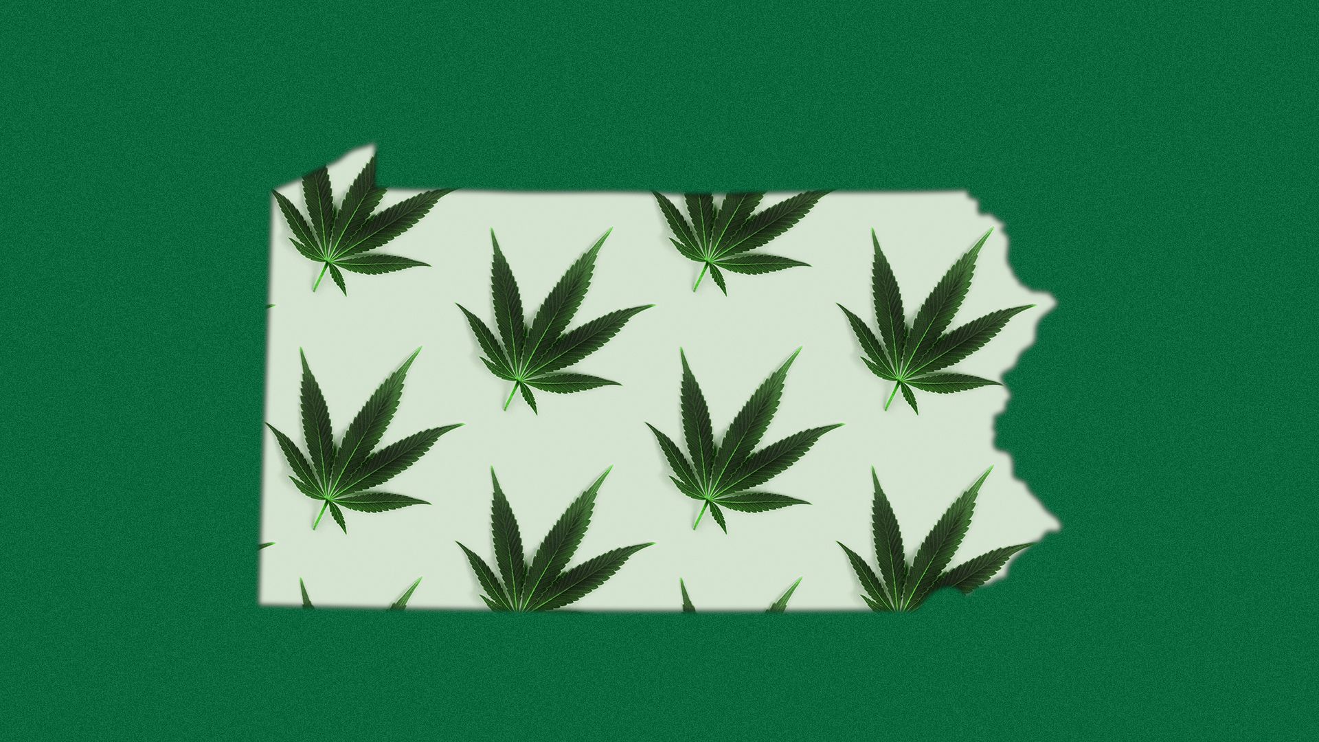 Illustration of a pattern of marijuana leaves filling the state of Pennsylvania.