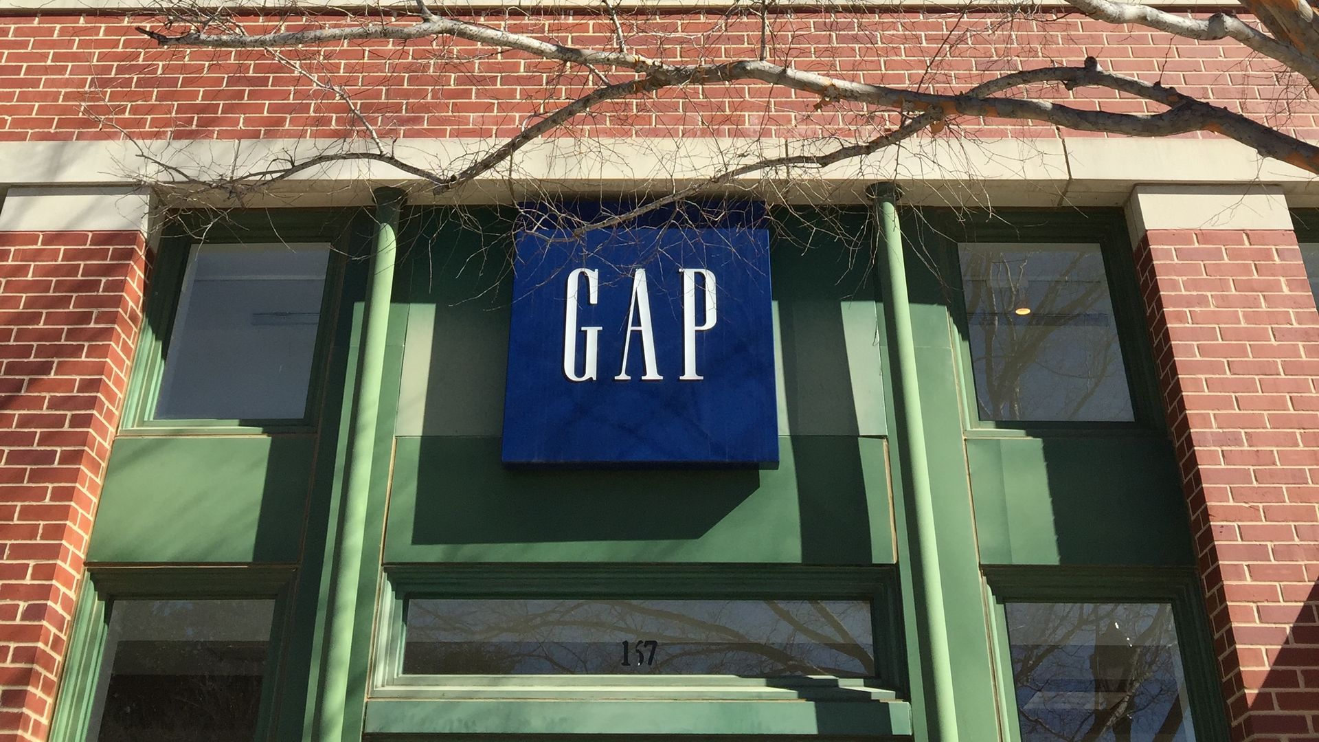A GAP store and a tree