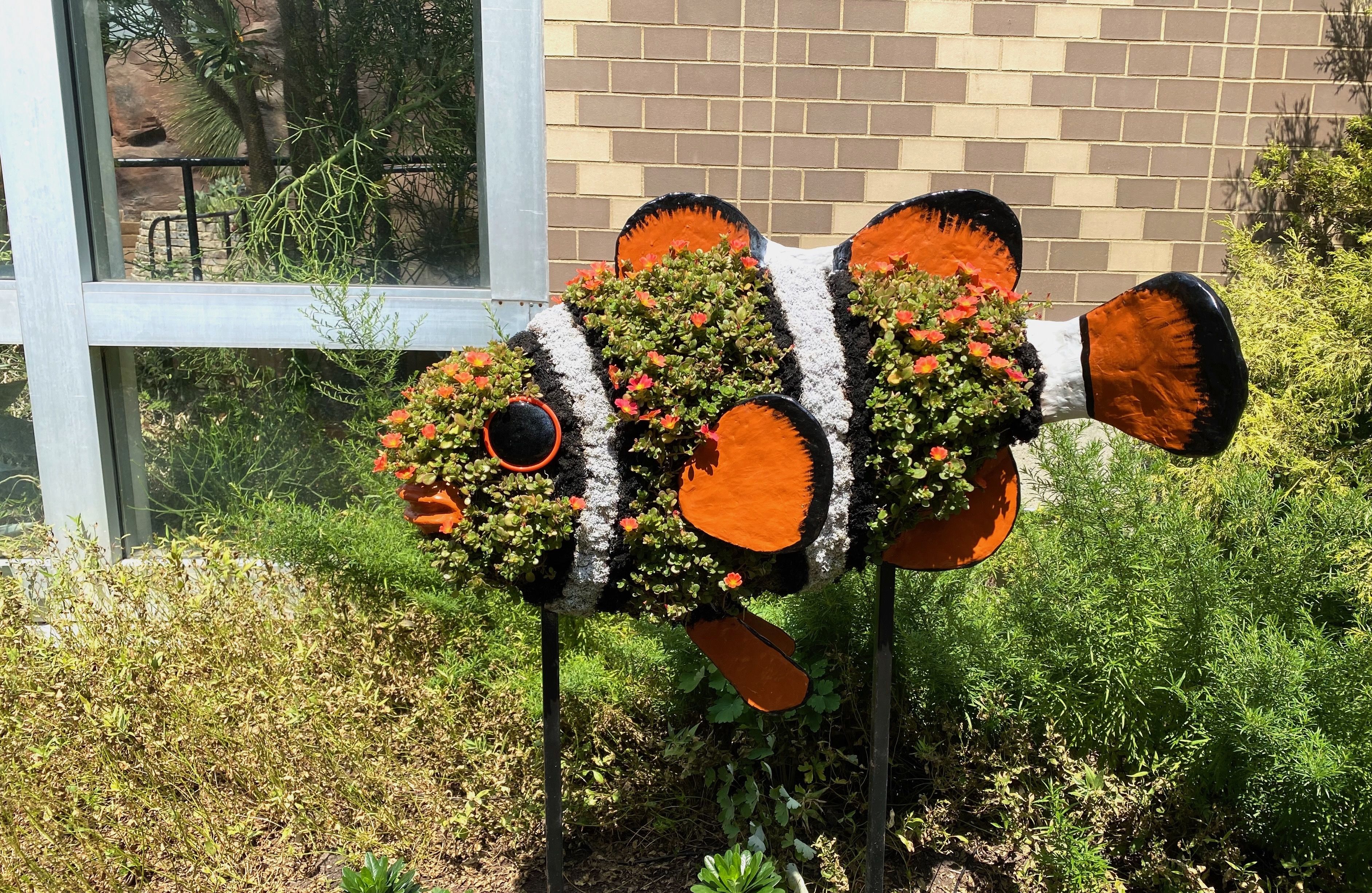 A clownfish topiary