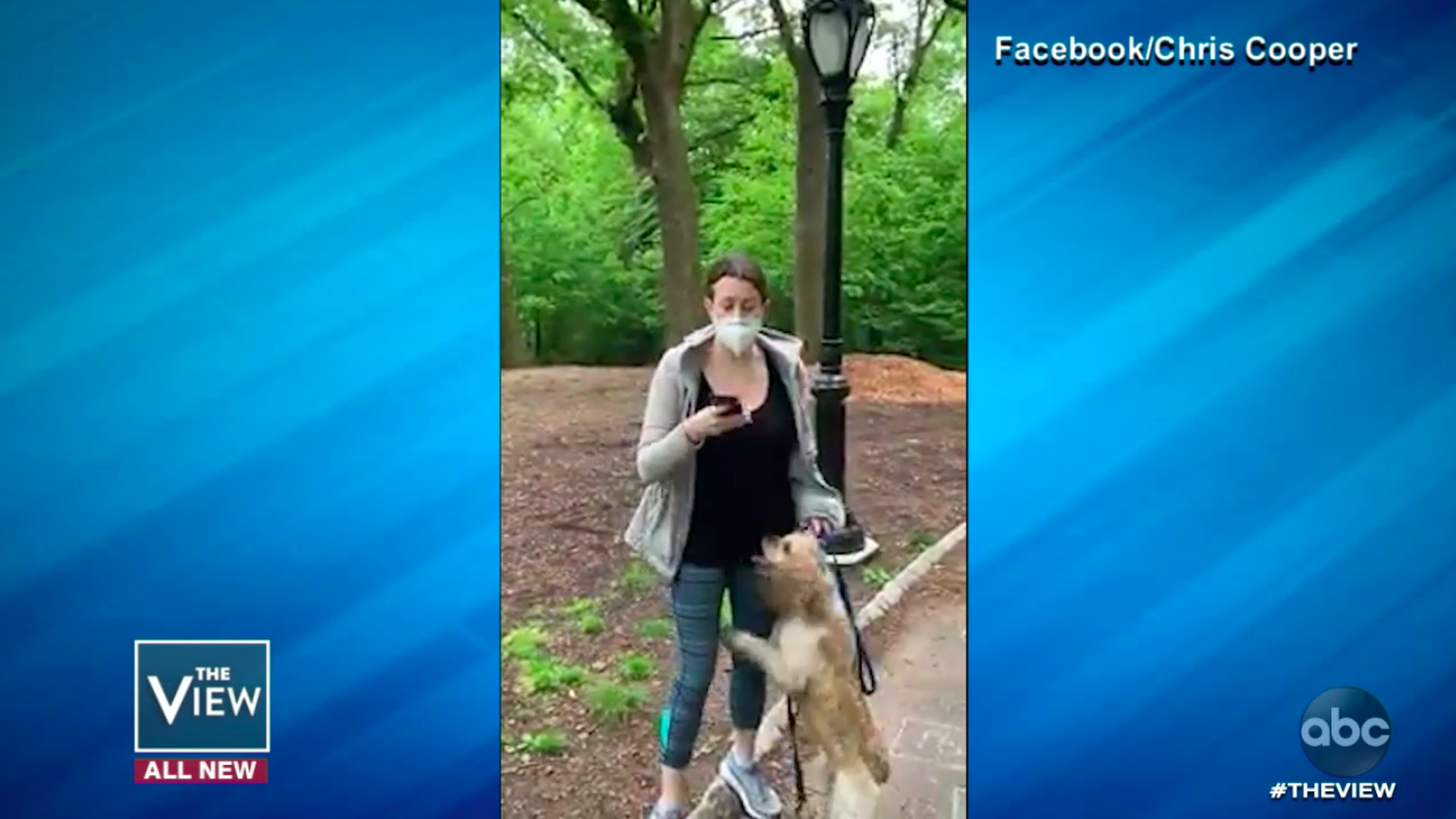 Footage of Amy Cooper in Central Park, filmed by bird watcher Chris Cooper last Memorial Day and posted to Facebook. 