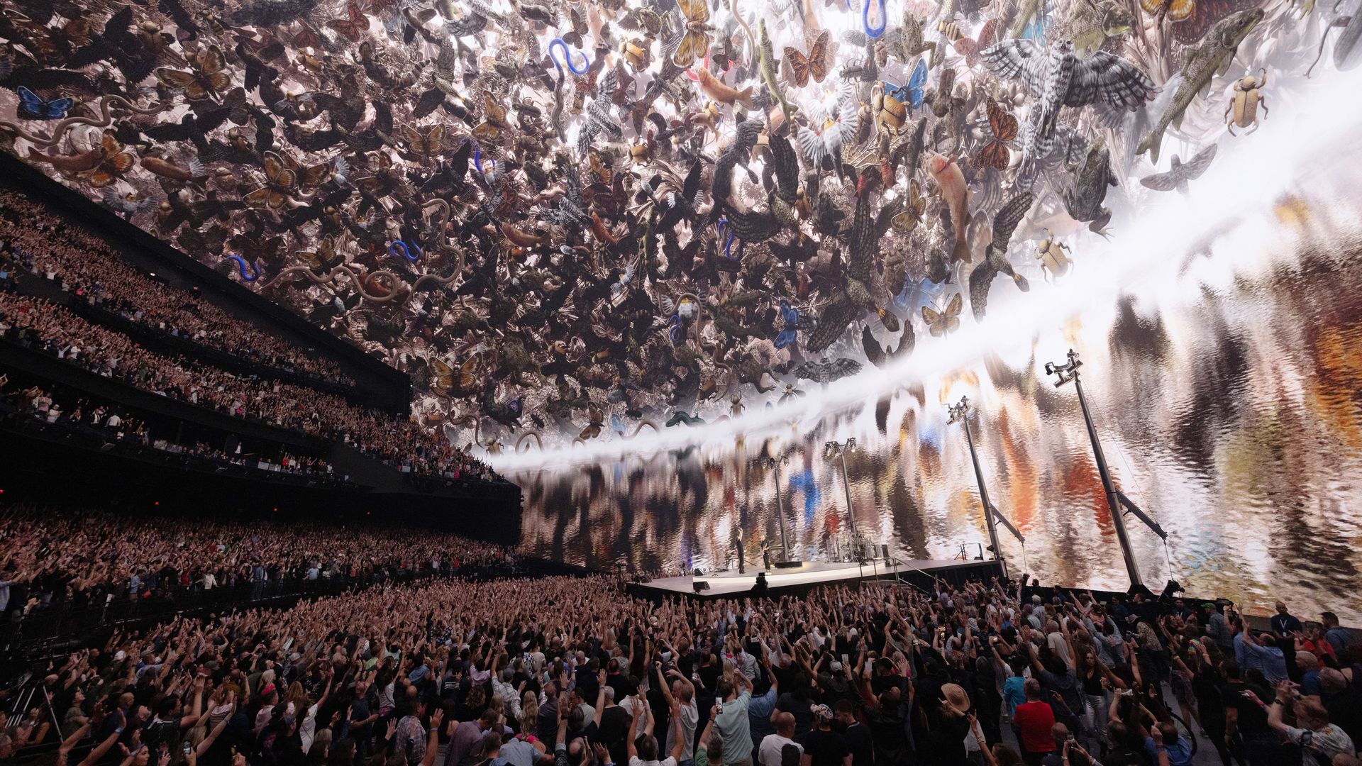 U2 performing at The Sphere