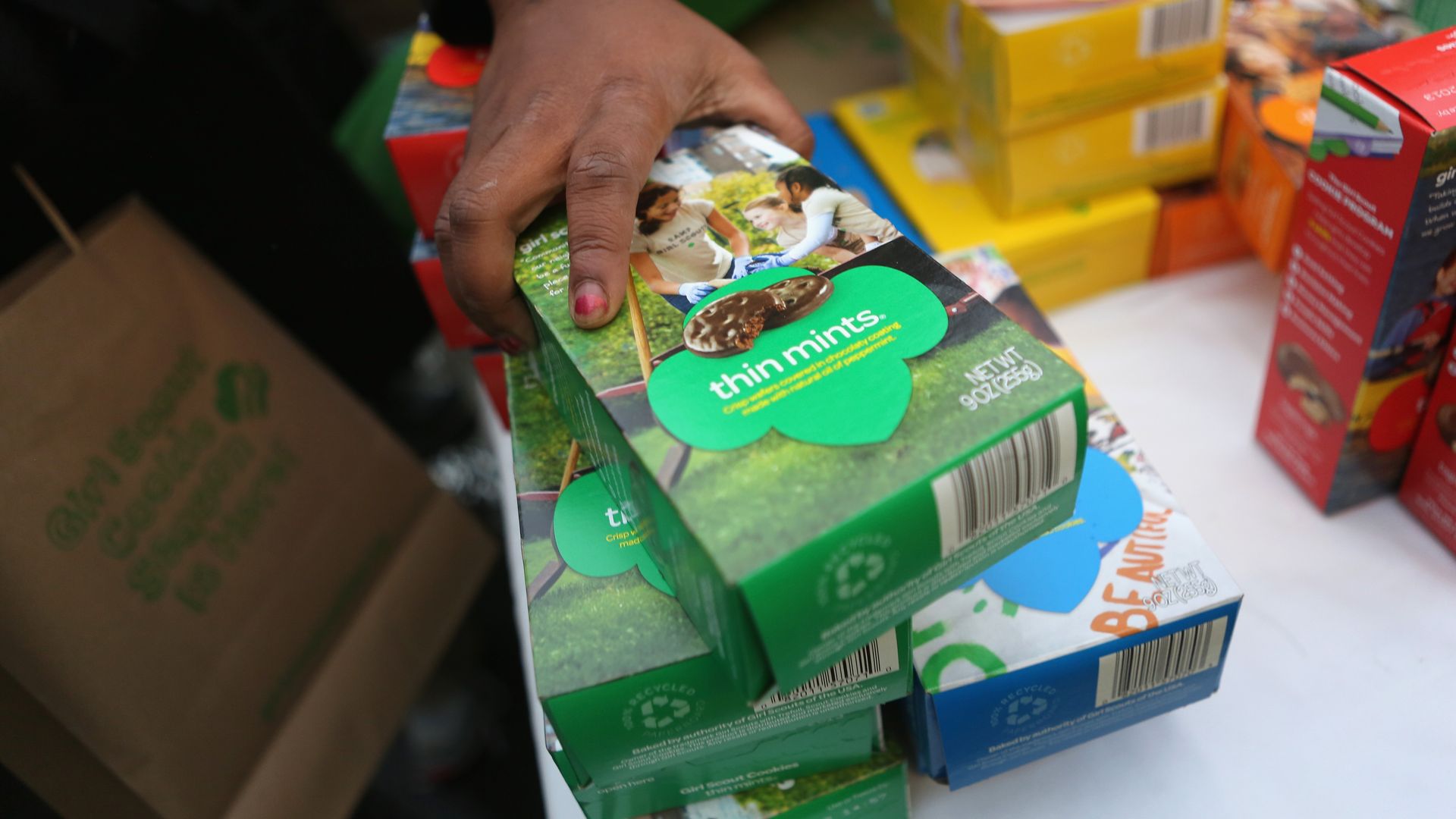 A hand on a box of Thin Mints with more boxes of Girl Scout cookies in the background.