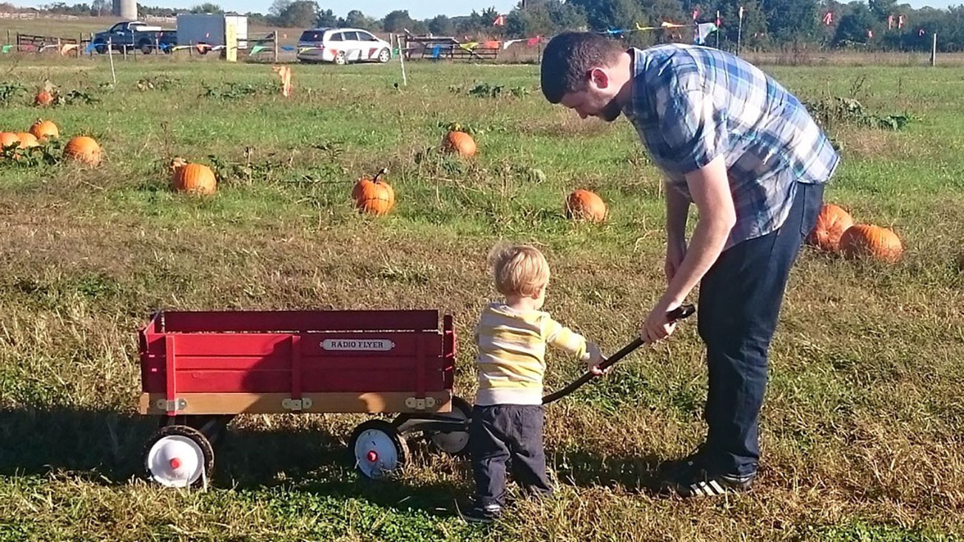 pumpkin-picking