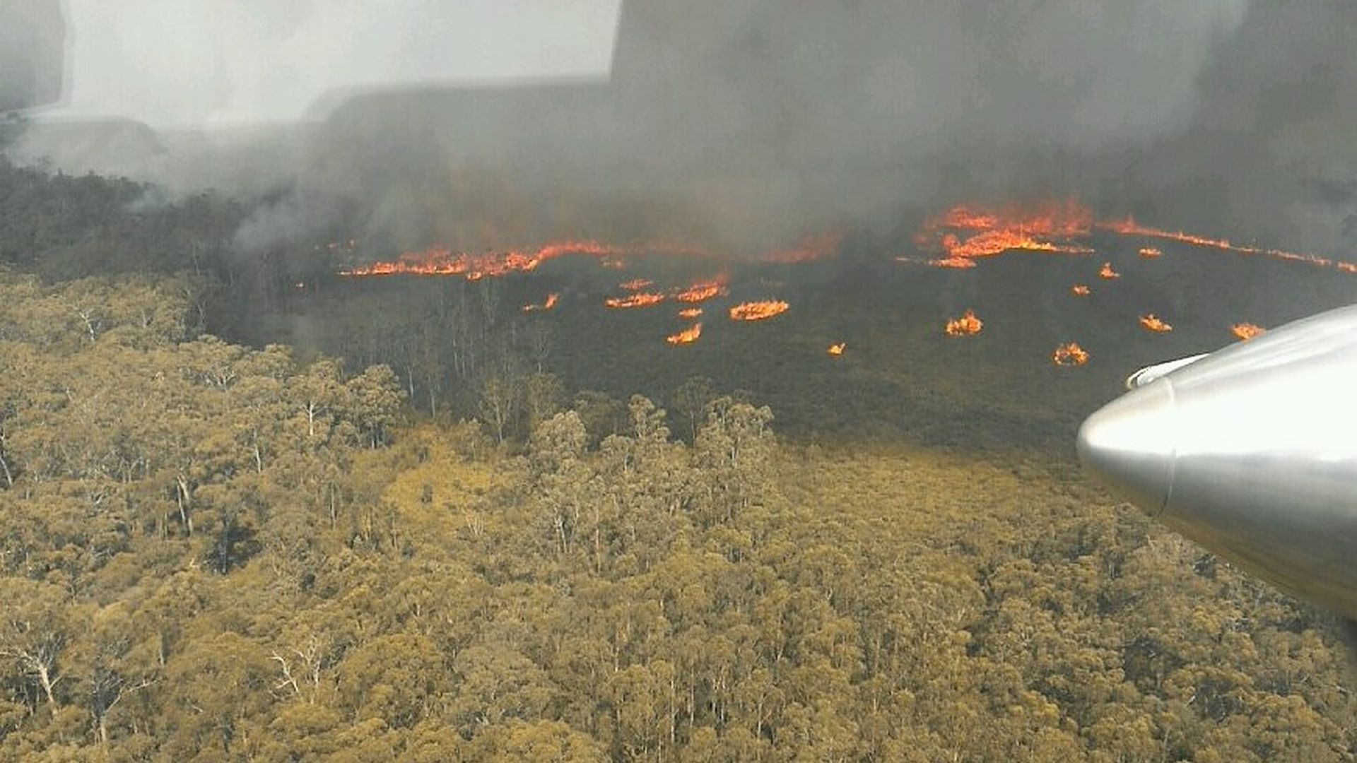 The Cabbage Tree Creek Fire in East Gippsland, in the Australian state of Victoria, where tens of thousands of people have been ordered to evacuate.