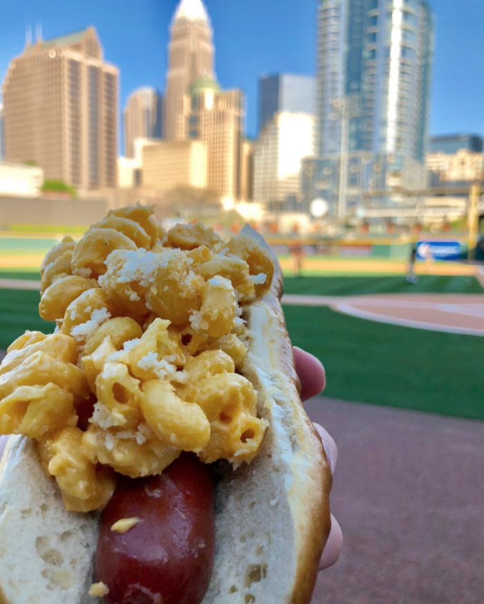 knights mac and cheese dog