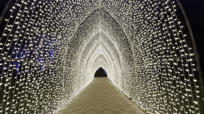 Photo: Nadia Lopez/Axios