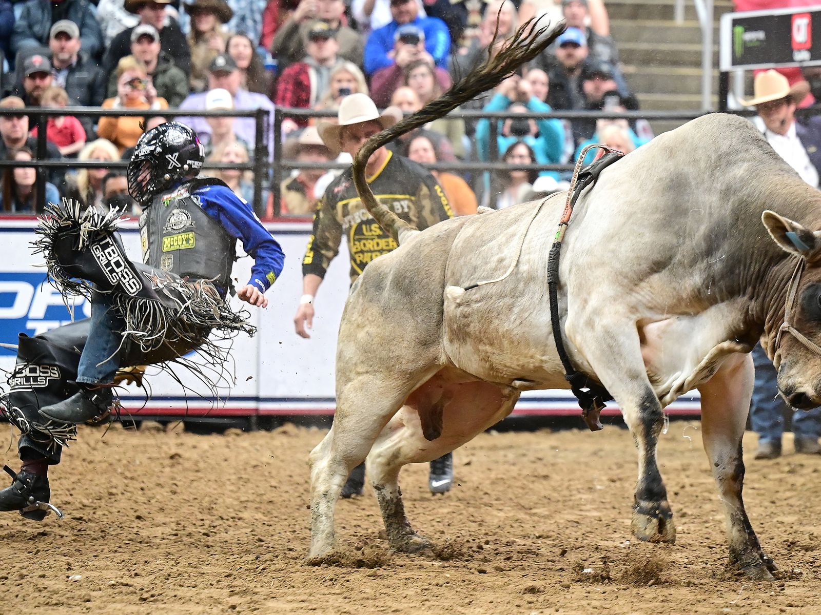 What you need to know about the Austin Gamblers - Axios Austin