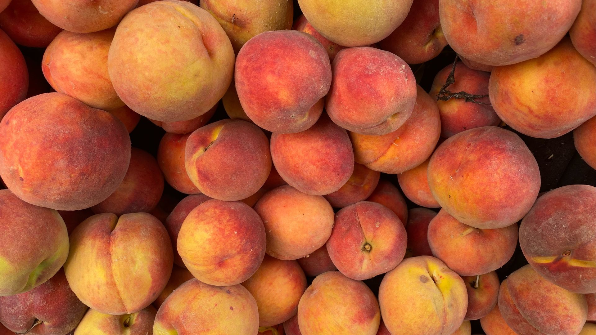 dozens of peaches in a basket