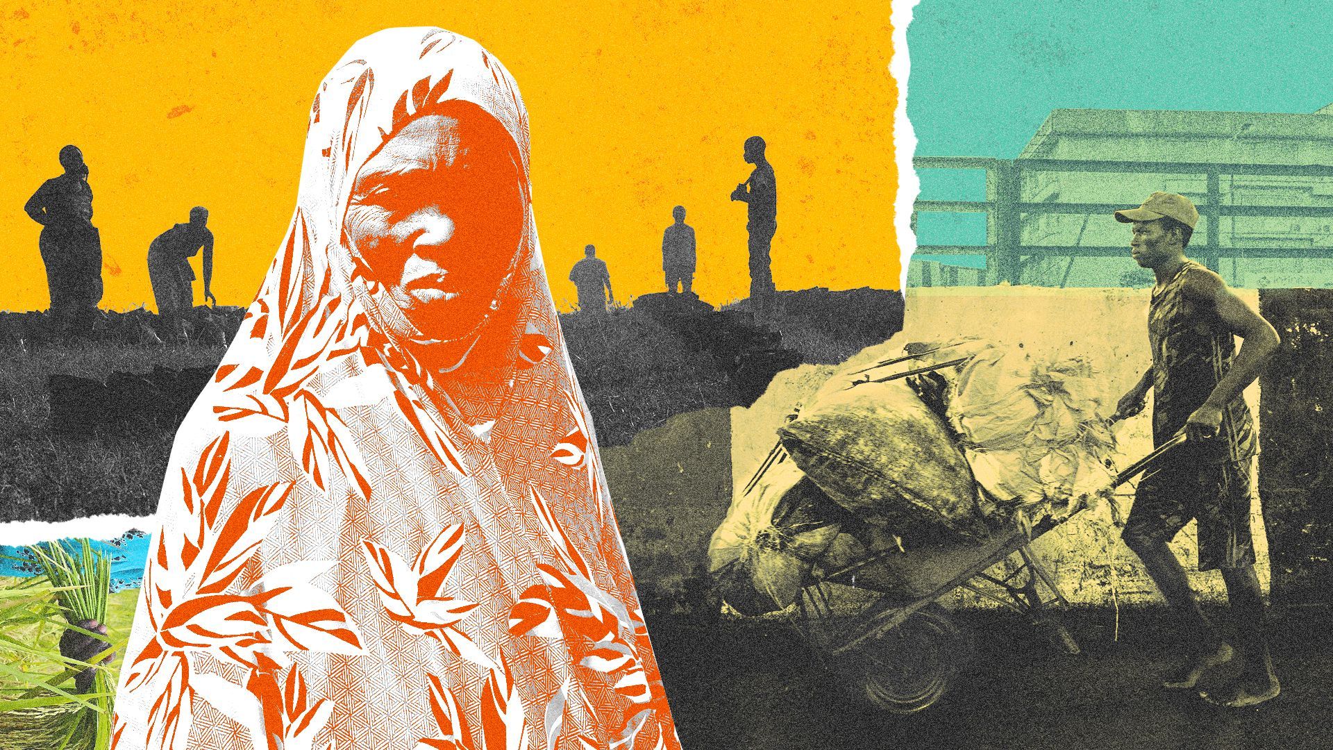 Photo iIllustration of a collage of woman from Niger, a food vendor pushing a wheelbarrow in Nigeria, and farmers in the Ivory Coast.