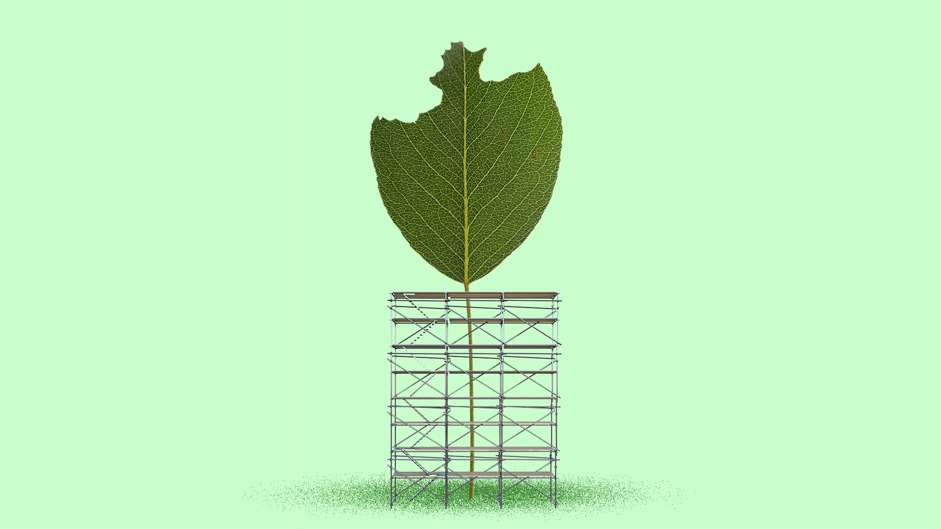 Illustration of a damaged leaf with scaffolding around it.