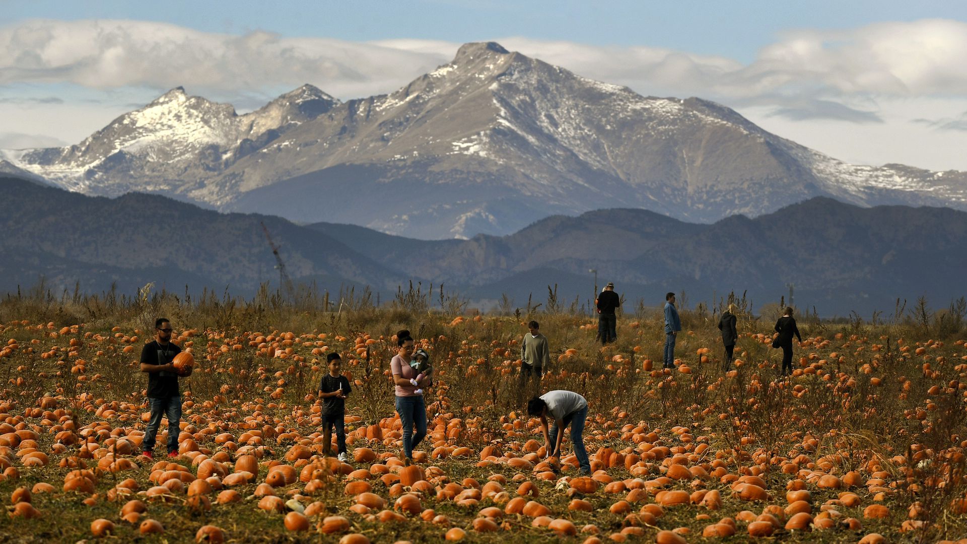 Rock Creek Farm Pumpkin Patch in Broomfield, one of Yelp’s top-rated patches in the country.