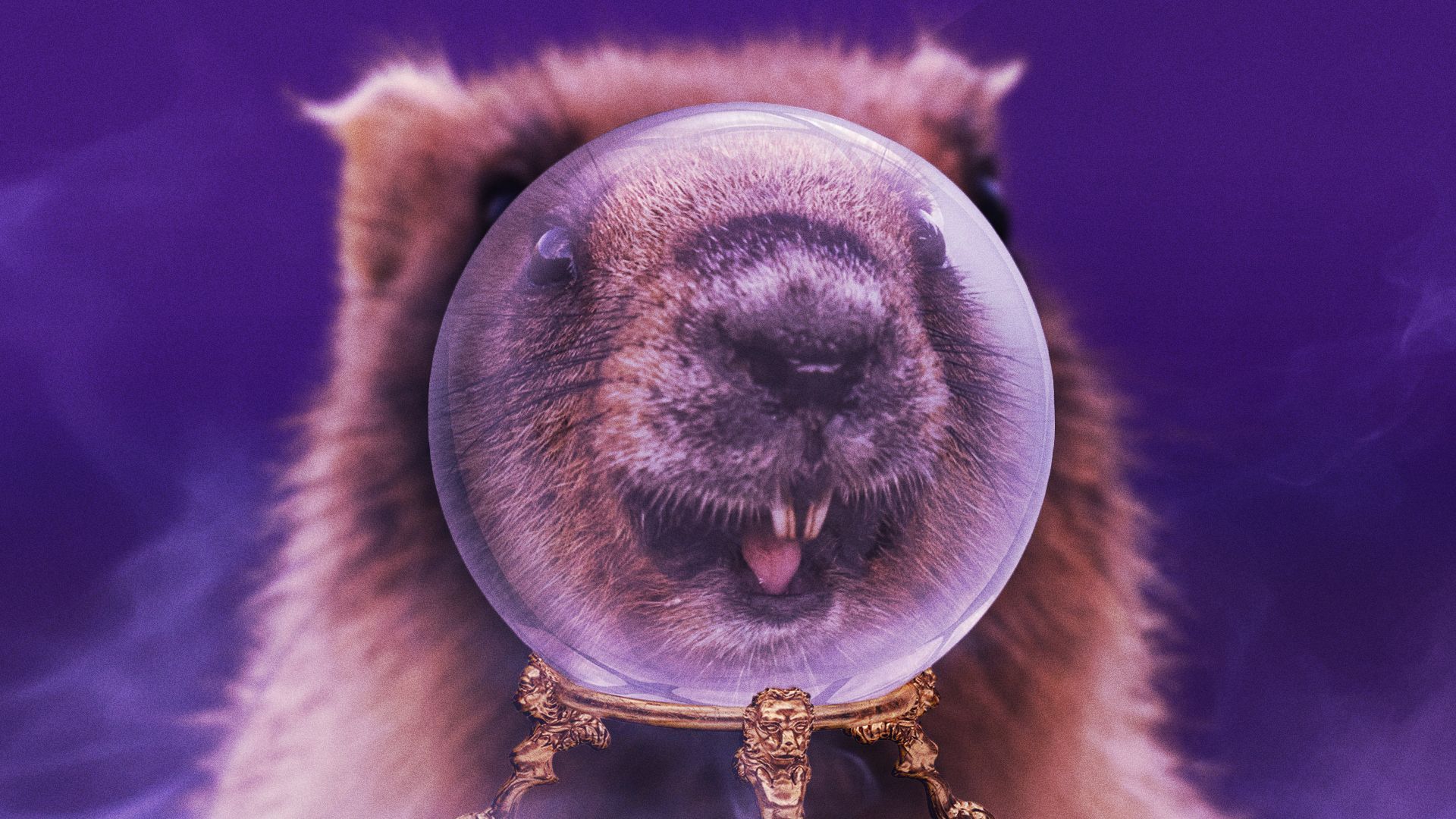 Illustration of a groundhog peering into a crystal ball. 