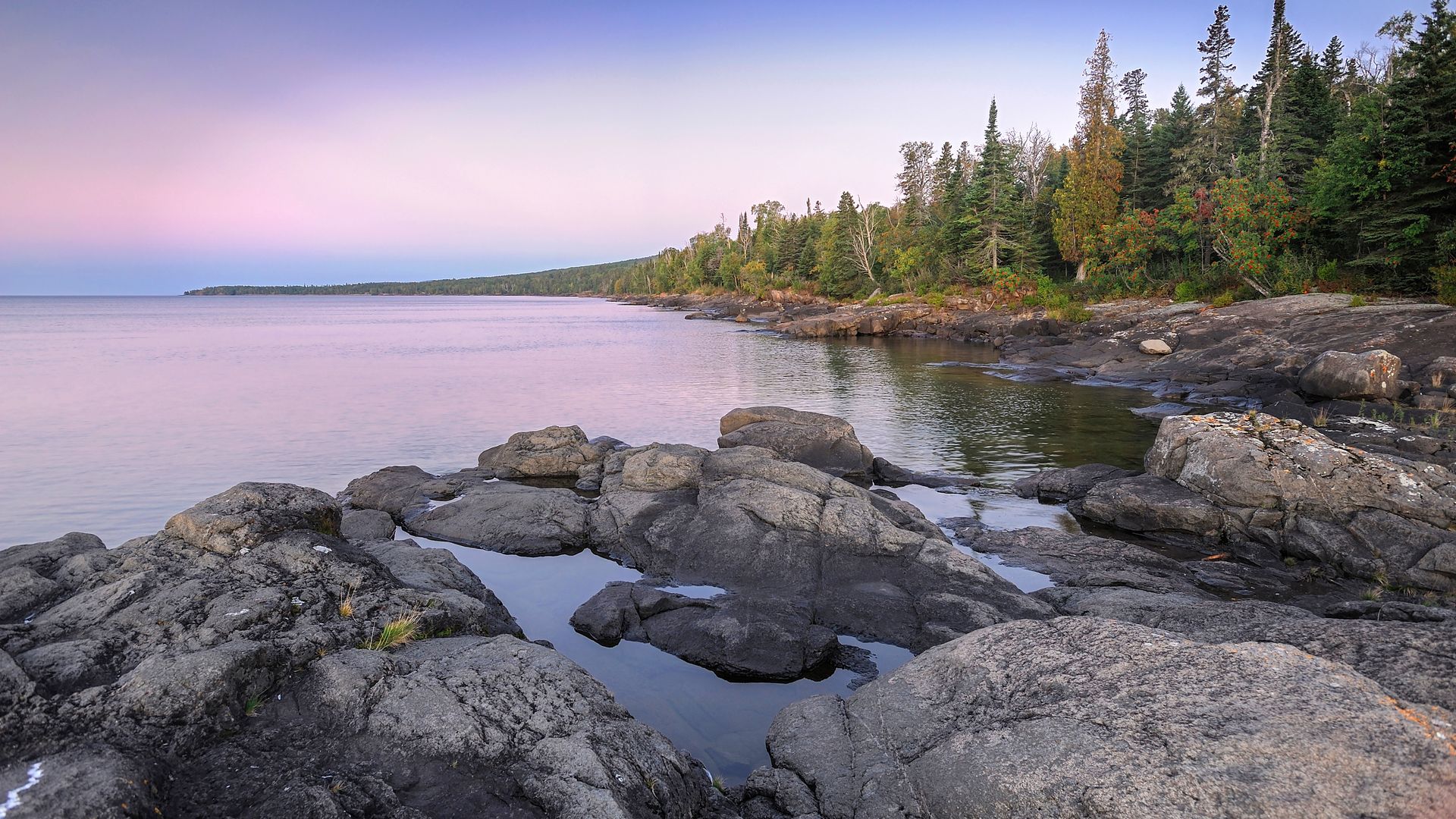 A peaceful view of a lake with rocks in the foreground and trees along the coast and a pink hue reflecting on the water from the sky