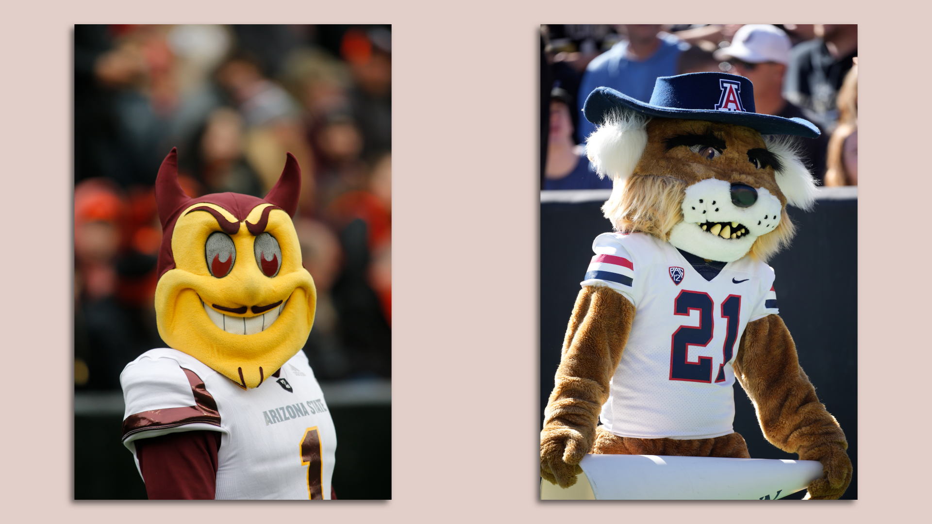 Side-by-side photos of two costumed mascots, one a Sun Devil, the other a wildcat. 