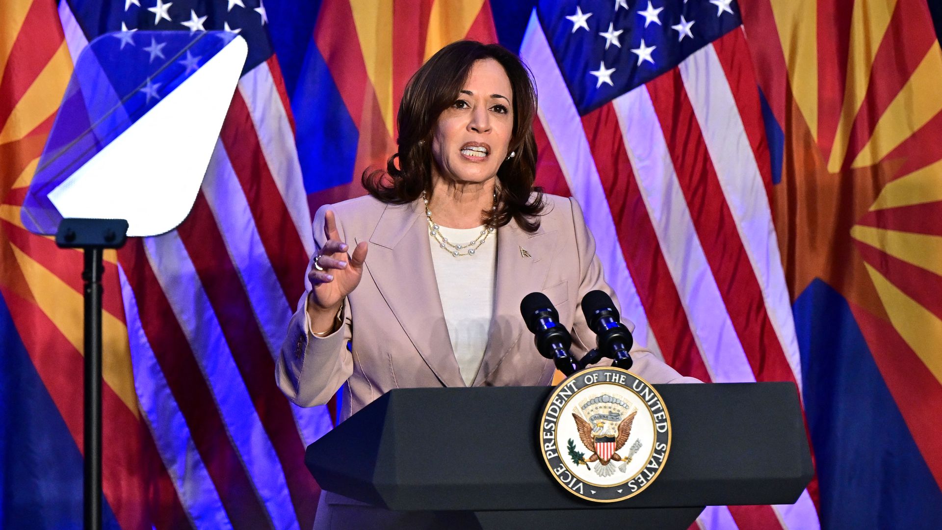 Vice President Kamala Harris speaks