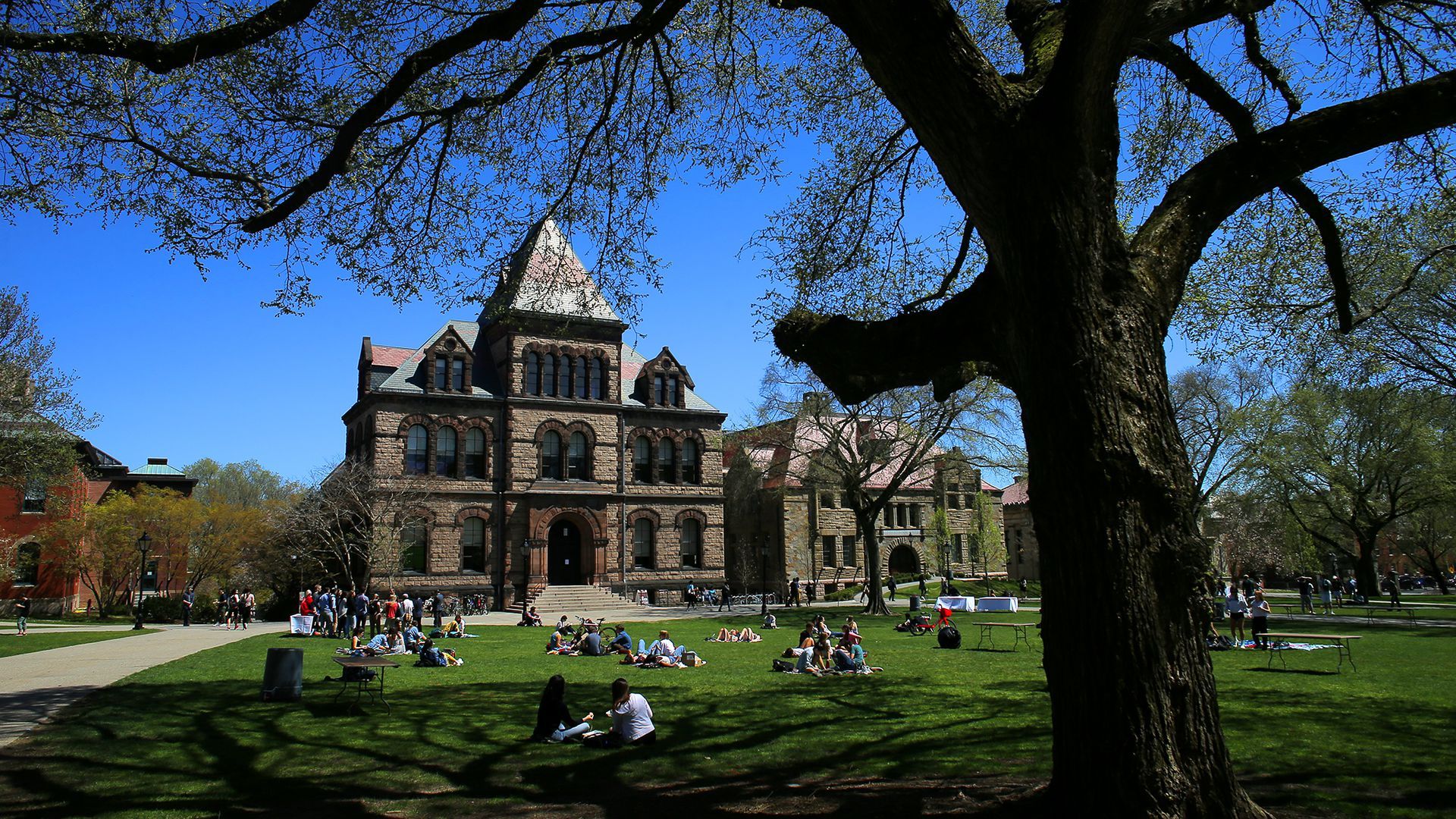 Students lounge in the sun at Brown in 2019.