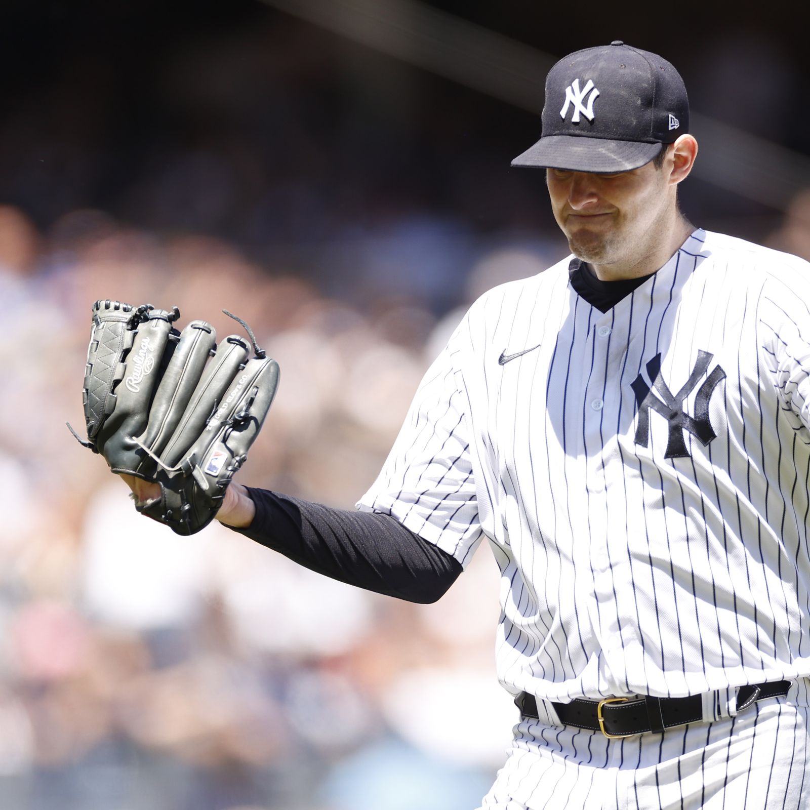 Gerrit Cole, DJ LeMahieu help Yankees end Rays' hot streak