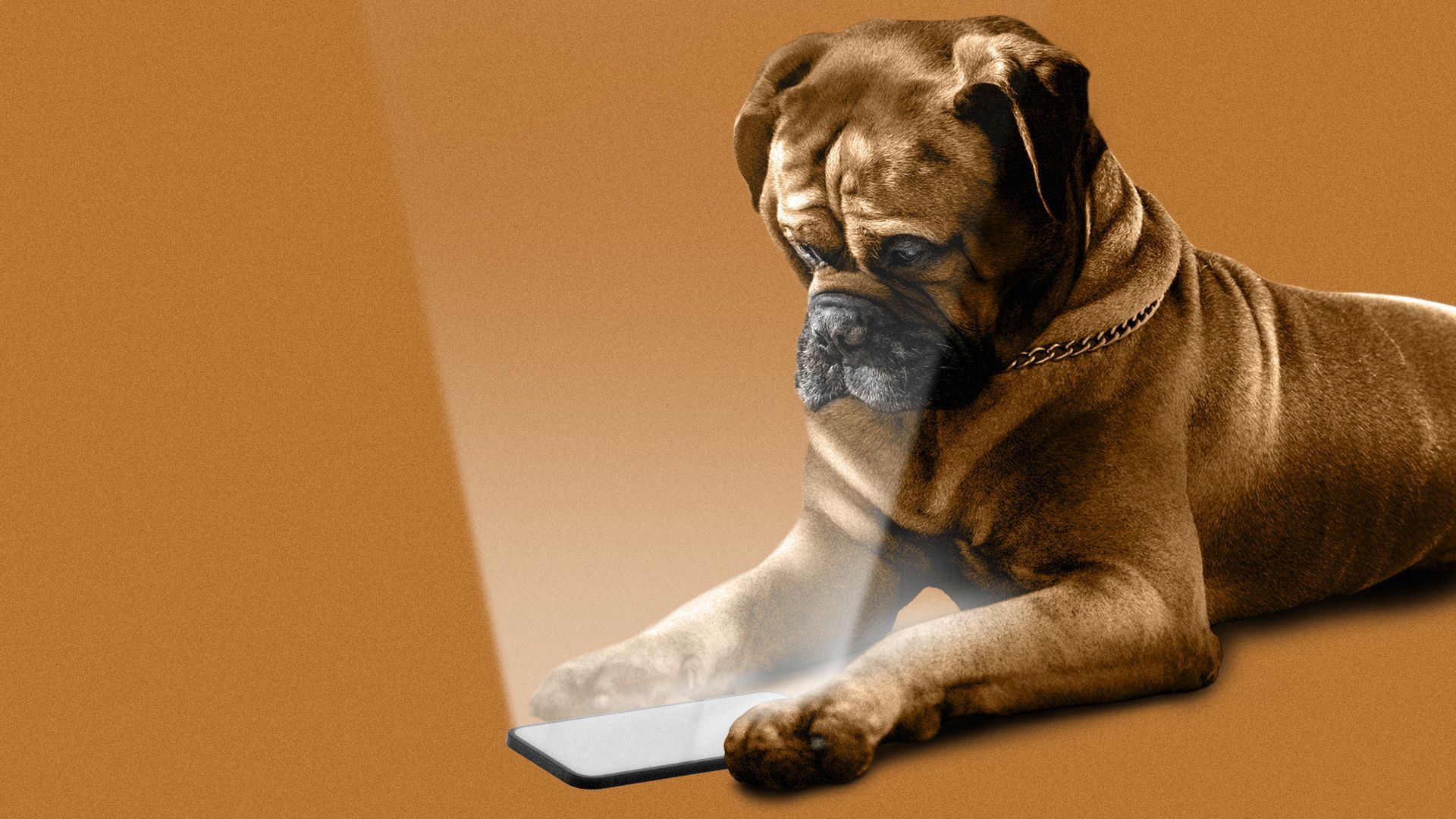 Illustration of a bull mastiff reading from a lit cell phone.