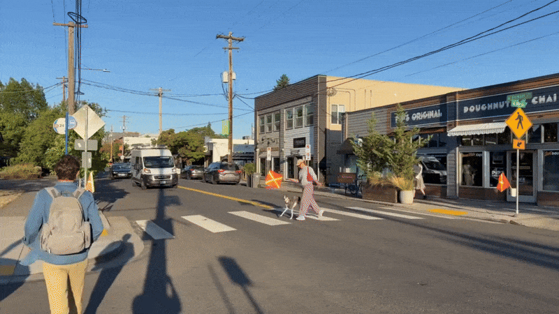 A person, carrying an orange flag, and a dog cross a busy, sun-filled streets, with cars and pedestrians moving in and out of the frame.