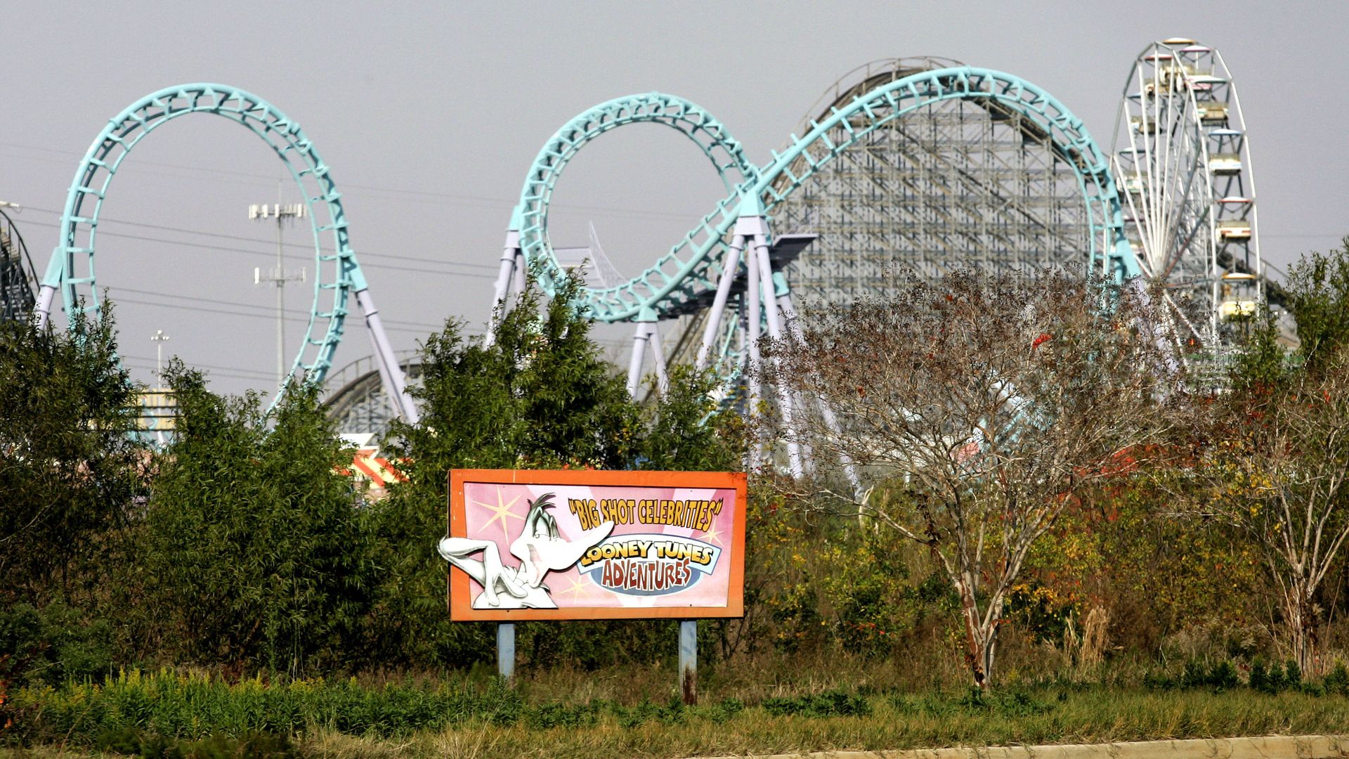 Photo shows a rollercoaster with overgrown shrubbery in New Orleans.