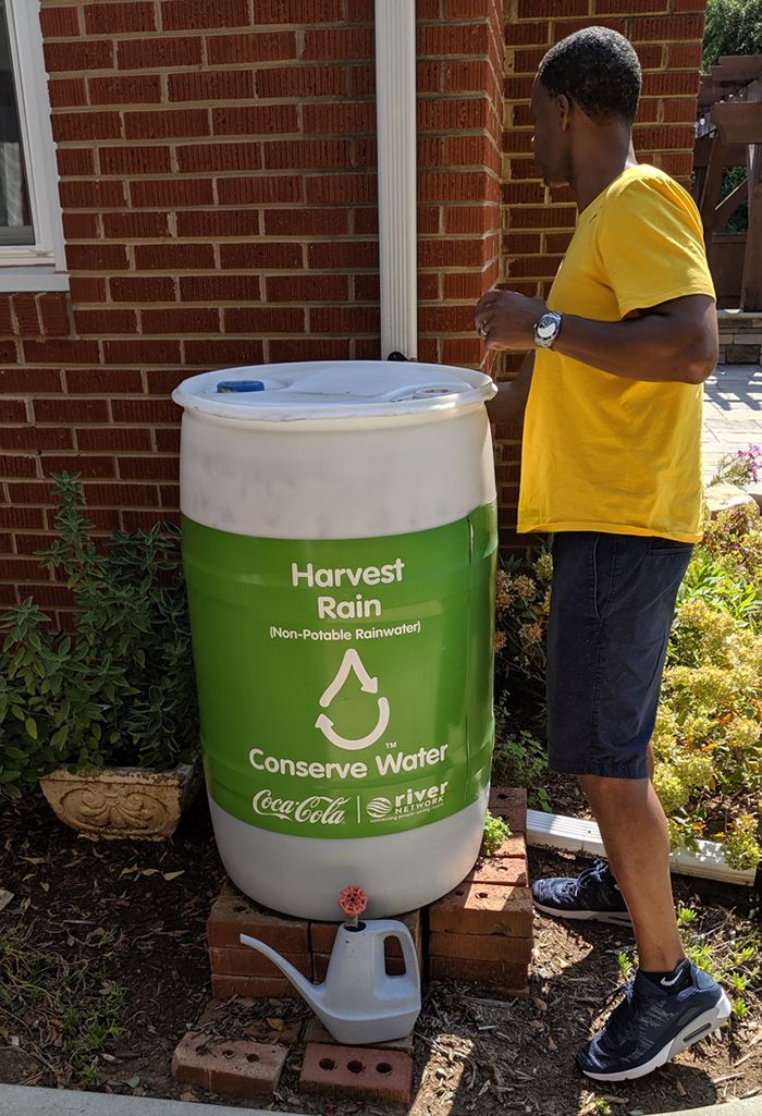 rain water green house charlotte