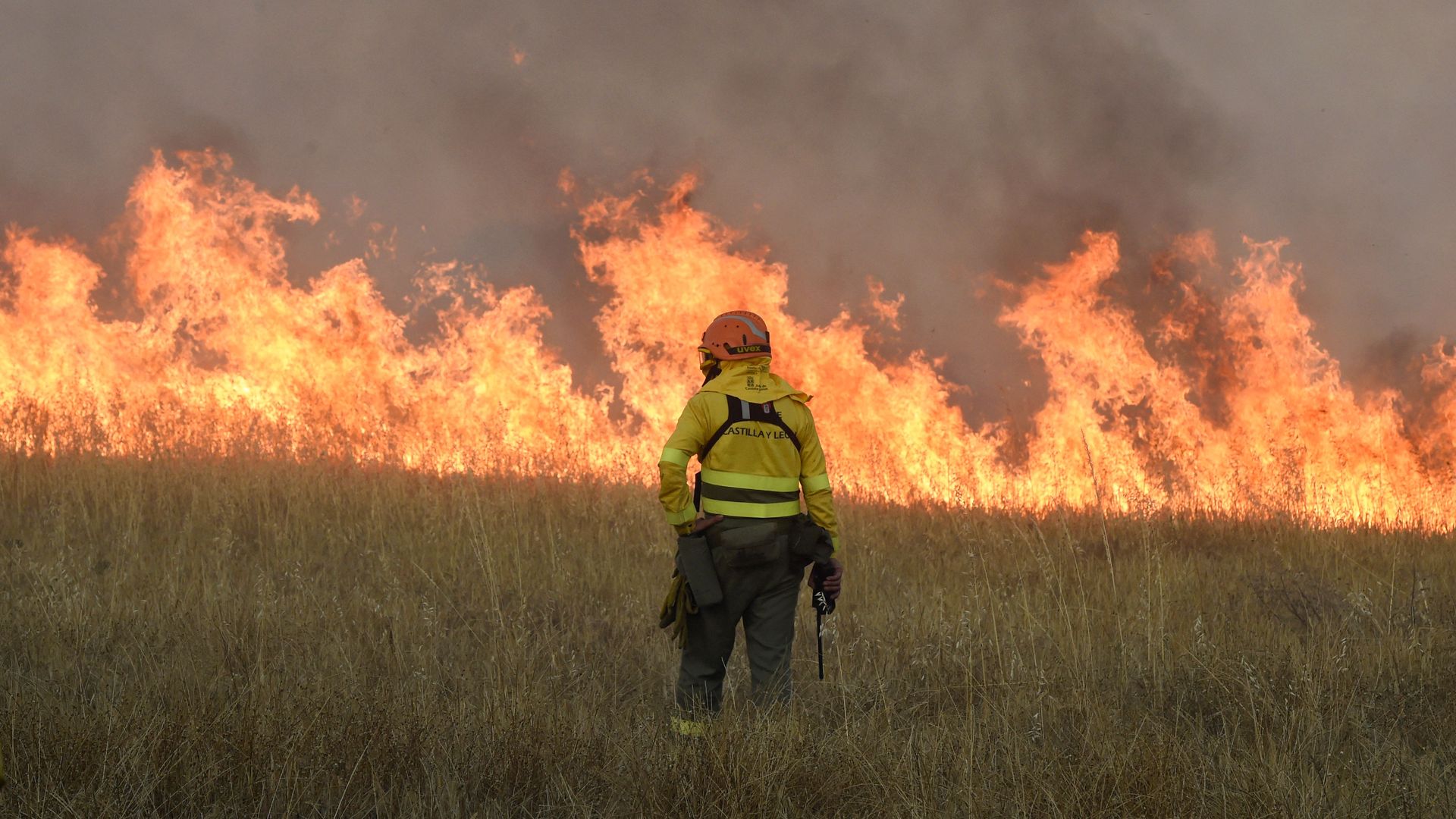 Photo of a firefighter in northwest Spain looking at a line of fire