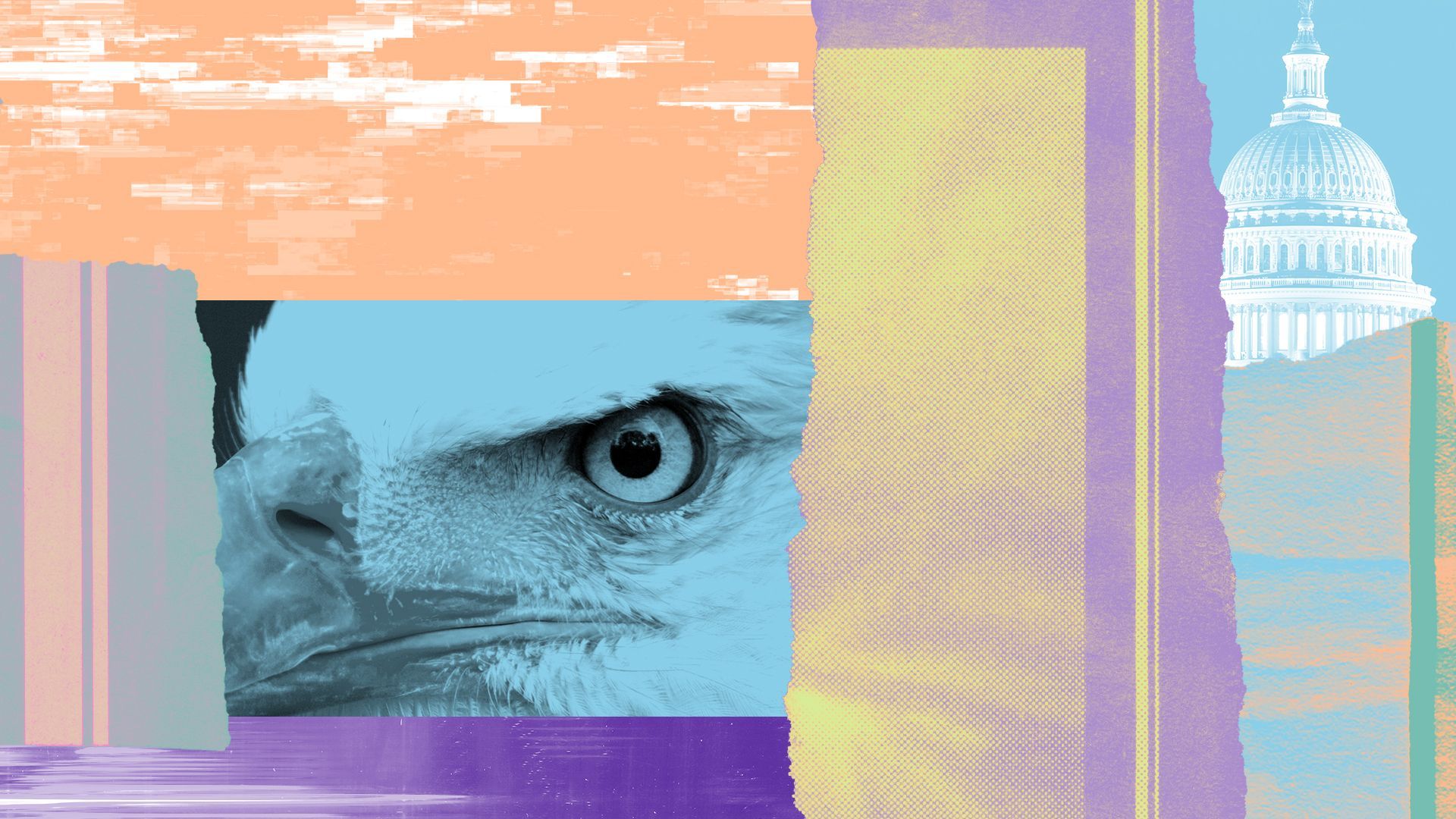 Photo illustration of a collage featuring an eagle and the U.S. Capitol Dome, digital glitch patterns, and ripped magazine pages.