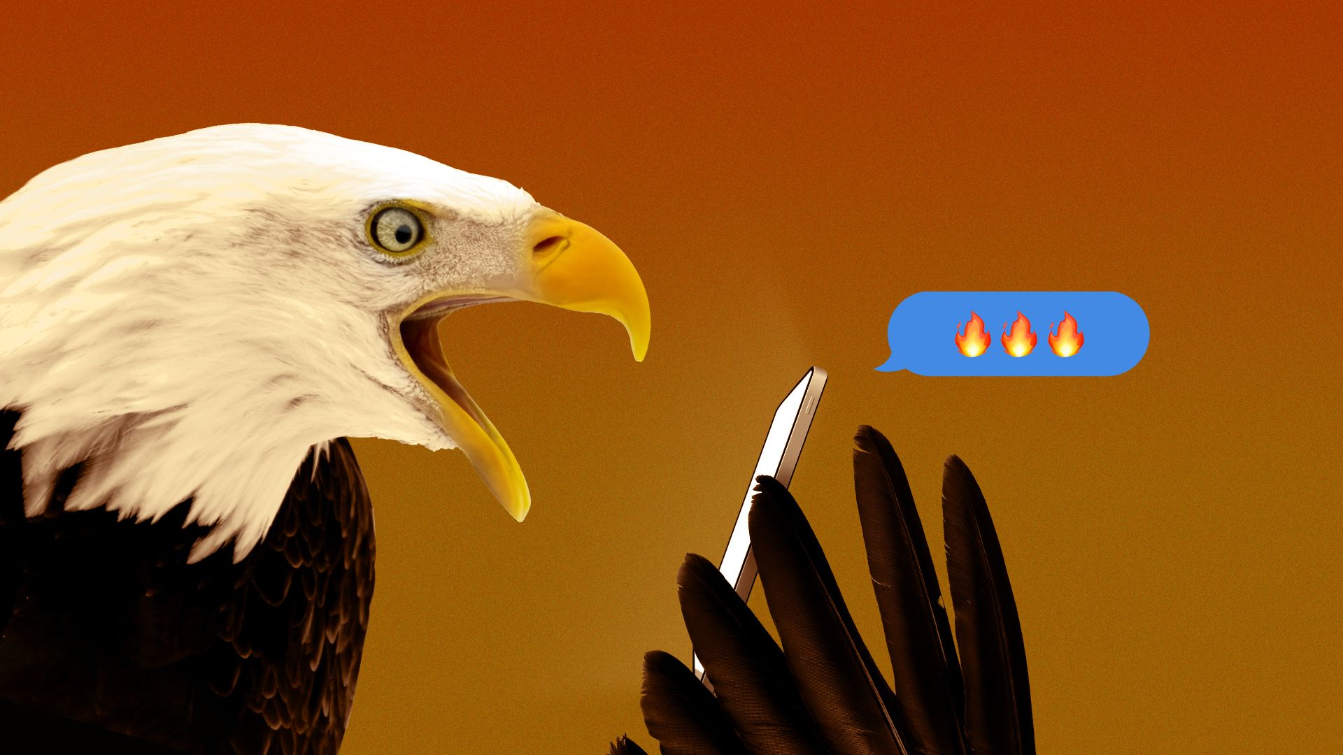 Illustration of a shocked eagle looking at a phone, reading a message bubble that has flame emojis.