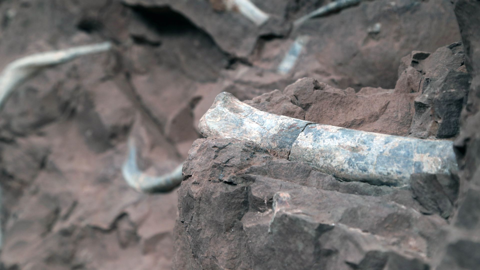 Evidence uncovered of asteroid that hit Earth 66 million years ago