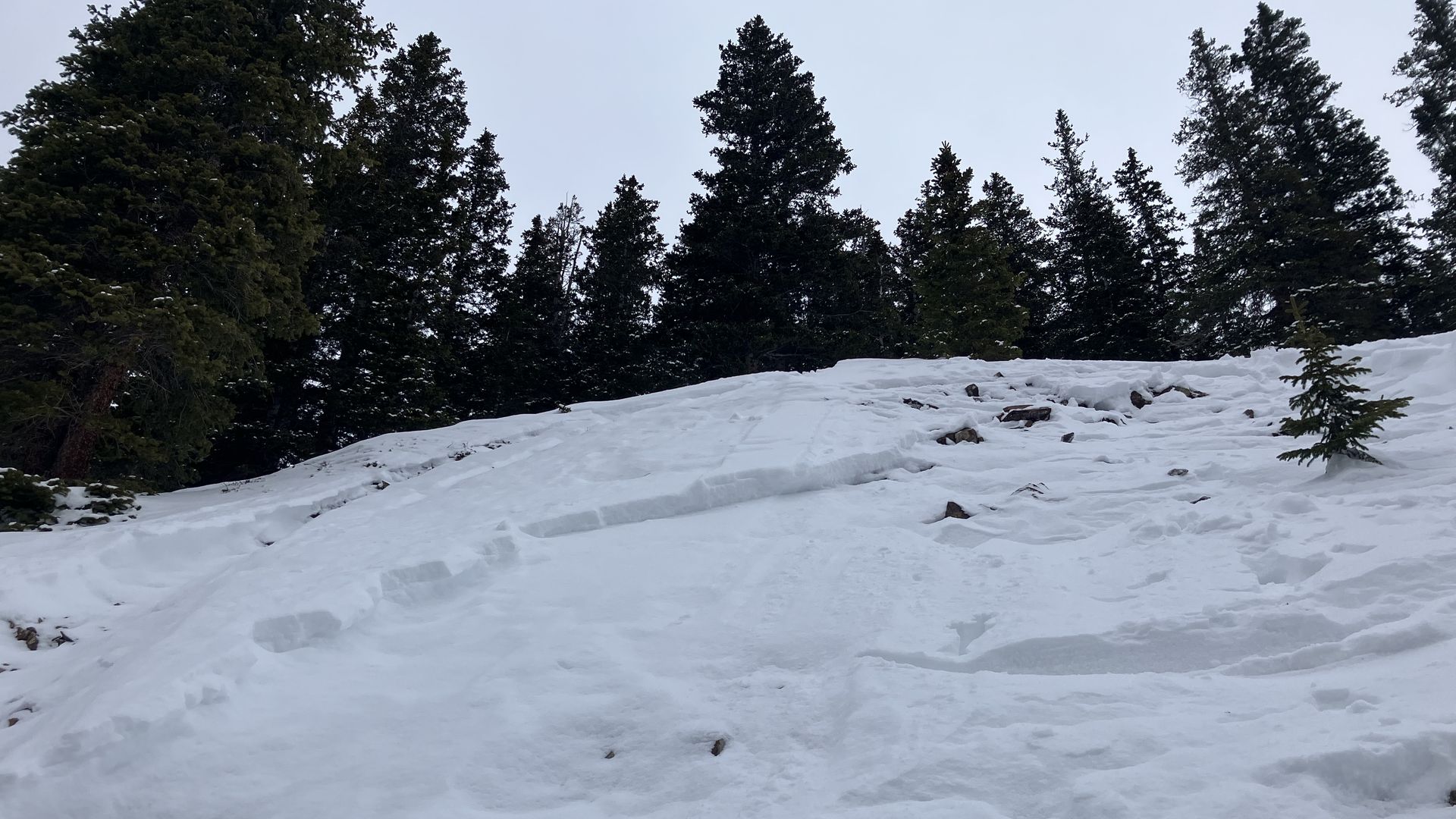 An avalanche in Waterfall Canyon south of Ophir that killed a backcountry snowboarder. Photo courtesy of the Colorado Avalanche Information Center