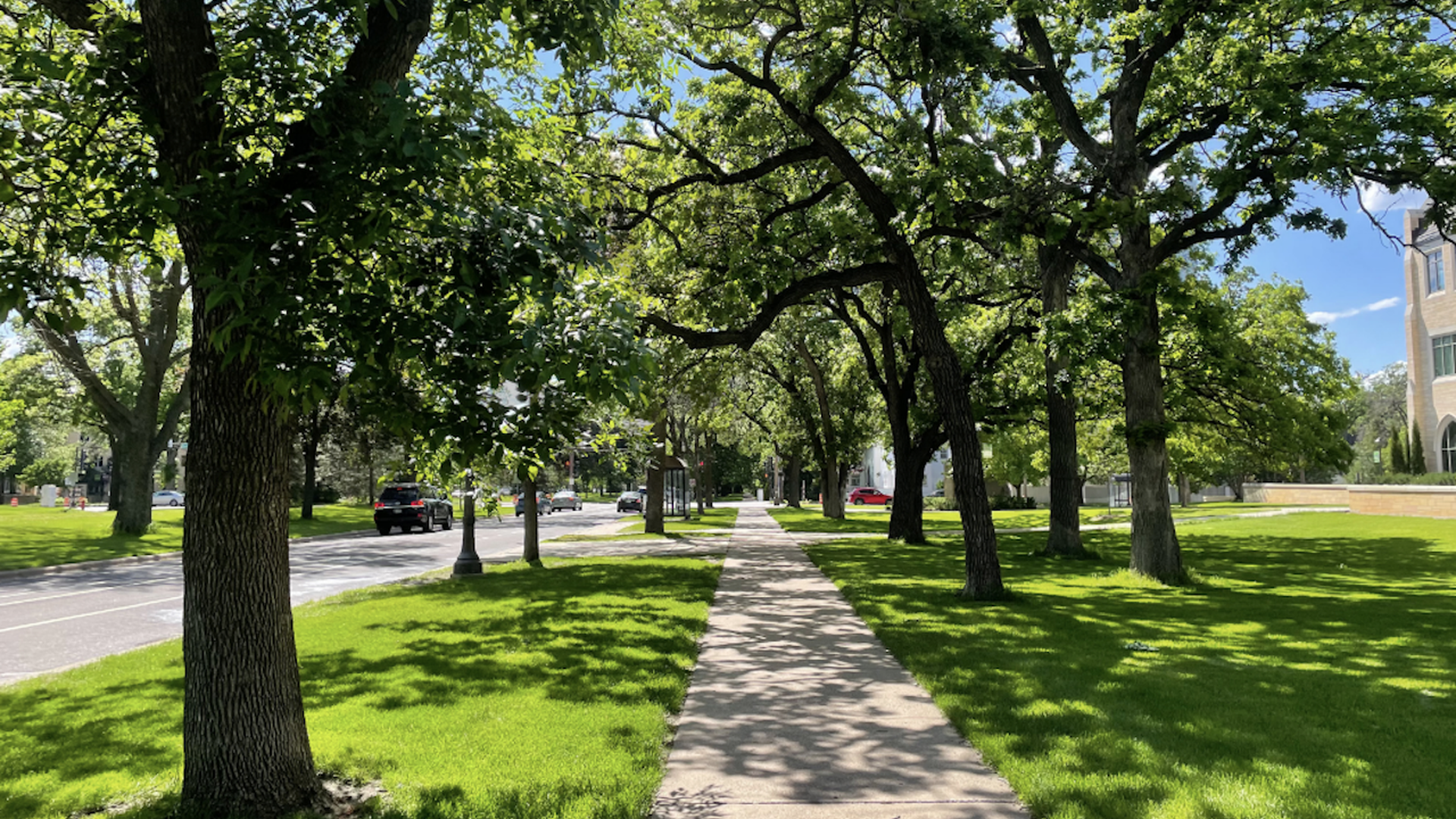 Summit Avenue in St. Paul 