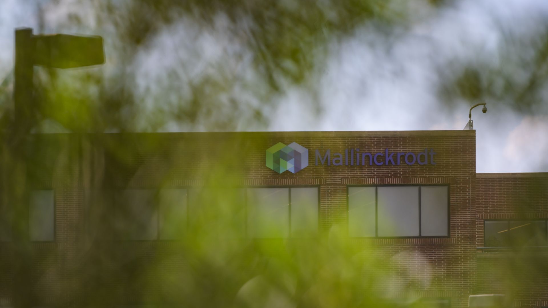 Mallinckrodt office building behind trees.