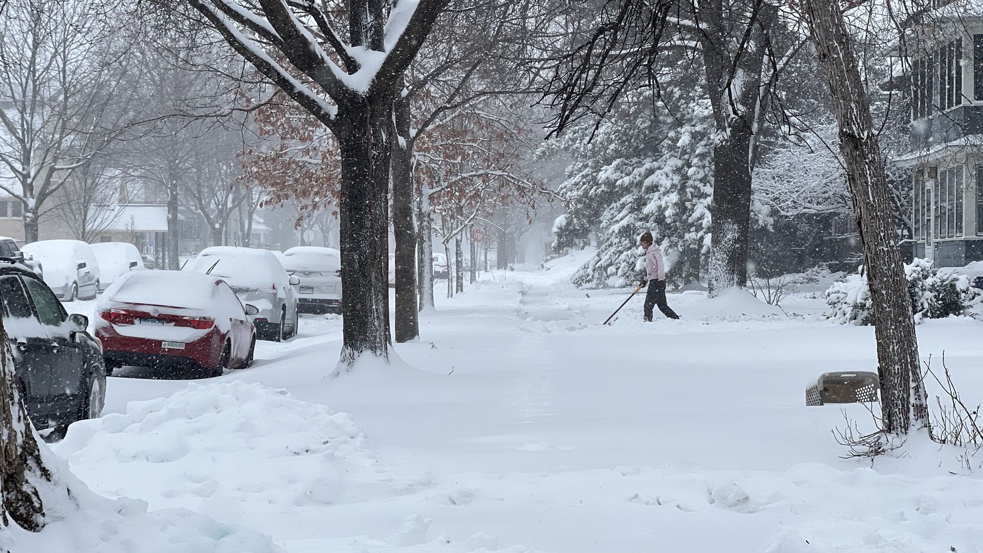 Snowy city block with parked cars along a snow-covered street, bare trees, and a person in a pink jacket shoveling snow along the sidewalk as light snow falls.