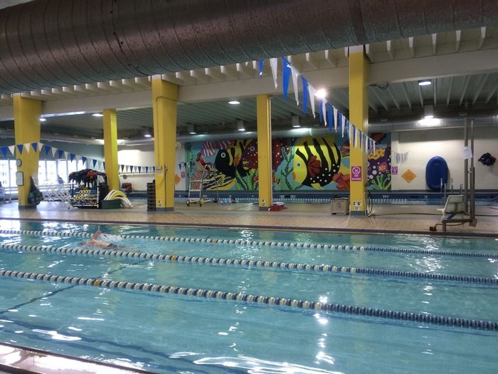 dowd ymca pool
