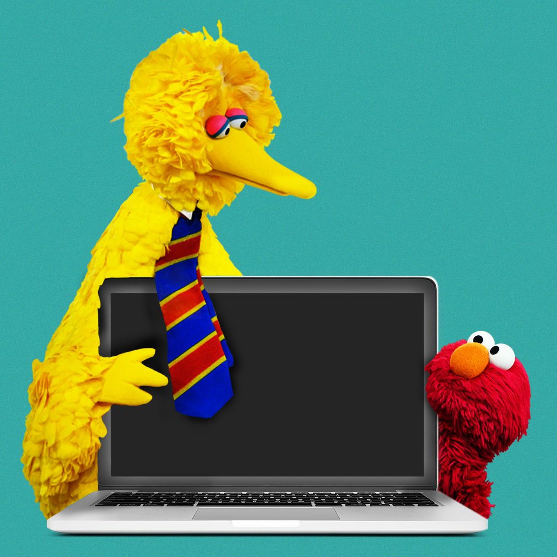 Photo illustration of Big Bird and Elmo looking at a laptop computer. 