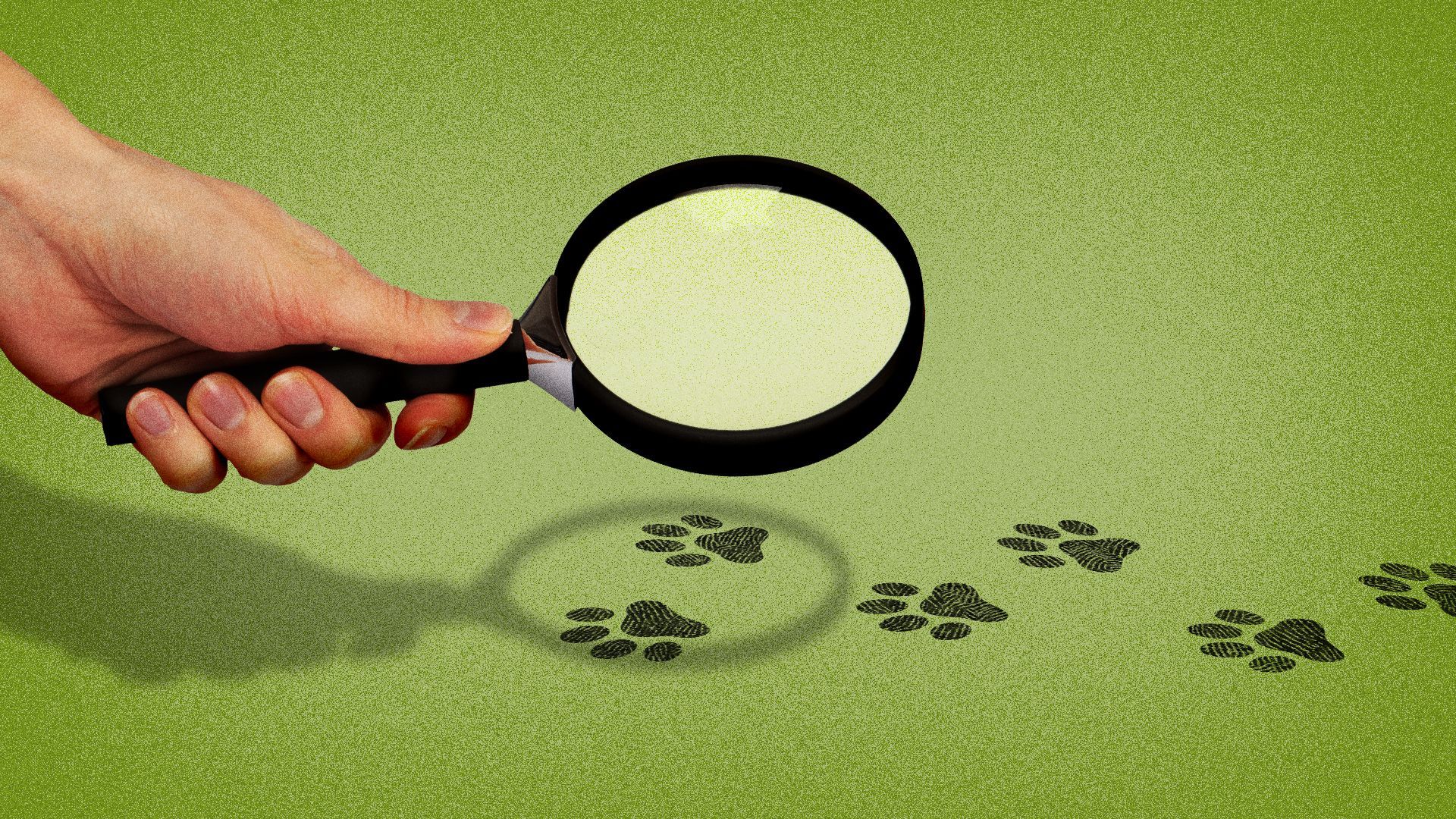 Illustration of a magnifying glass inspecting cat pawprints. 