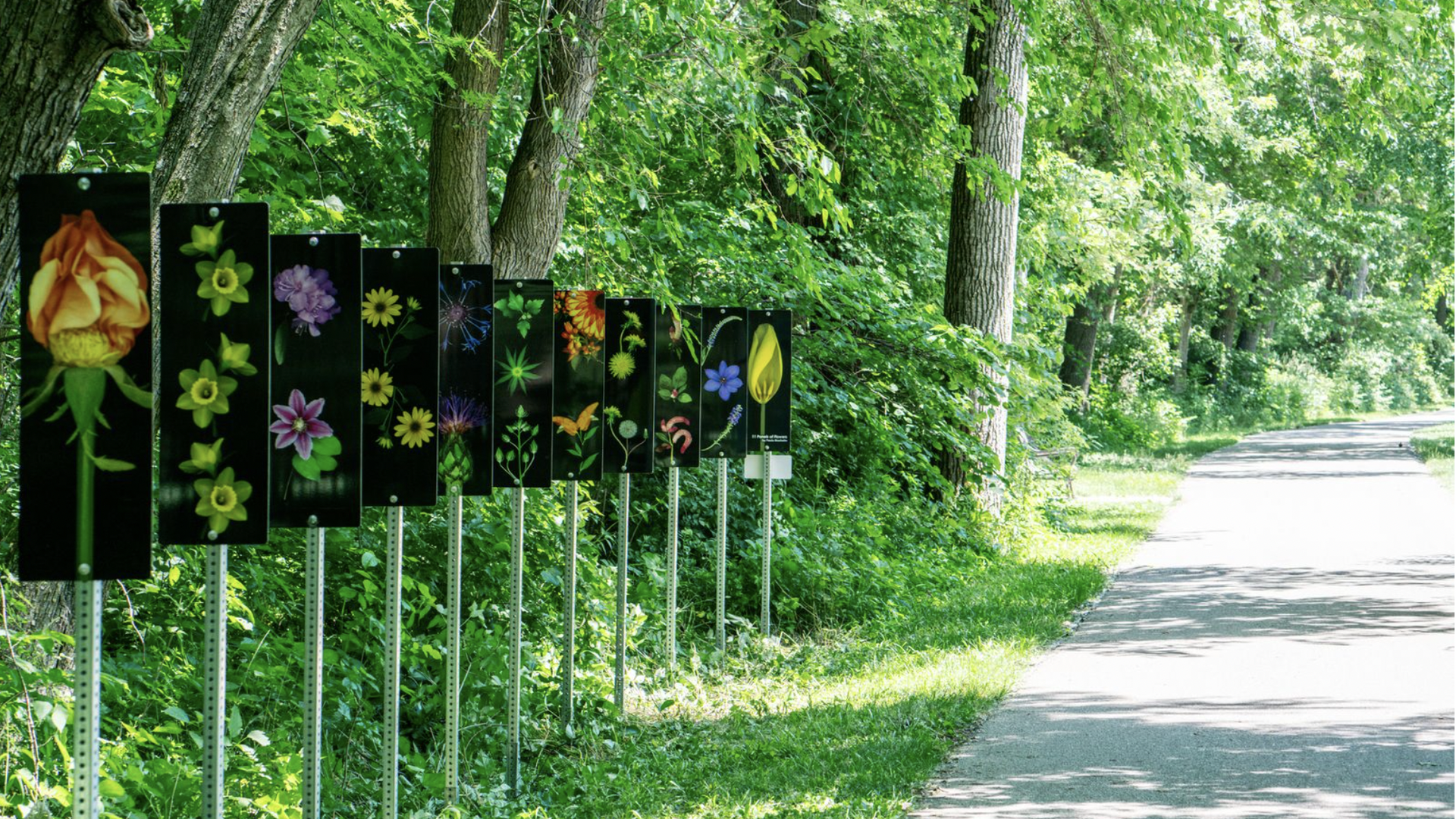 Floral signs along the Bill Riley Trail