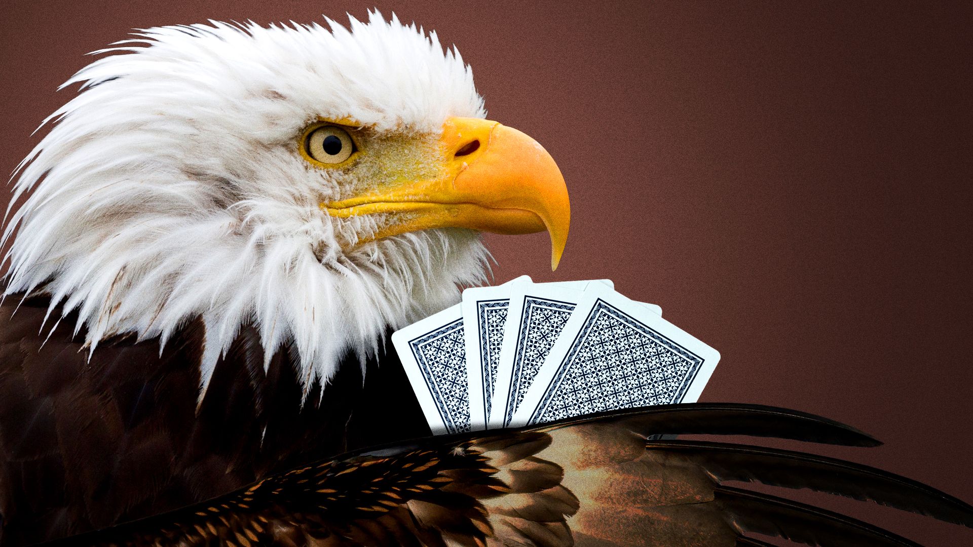 Illustration of a bald eagle holding playing cards. 